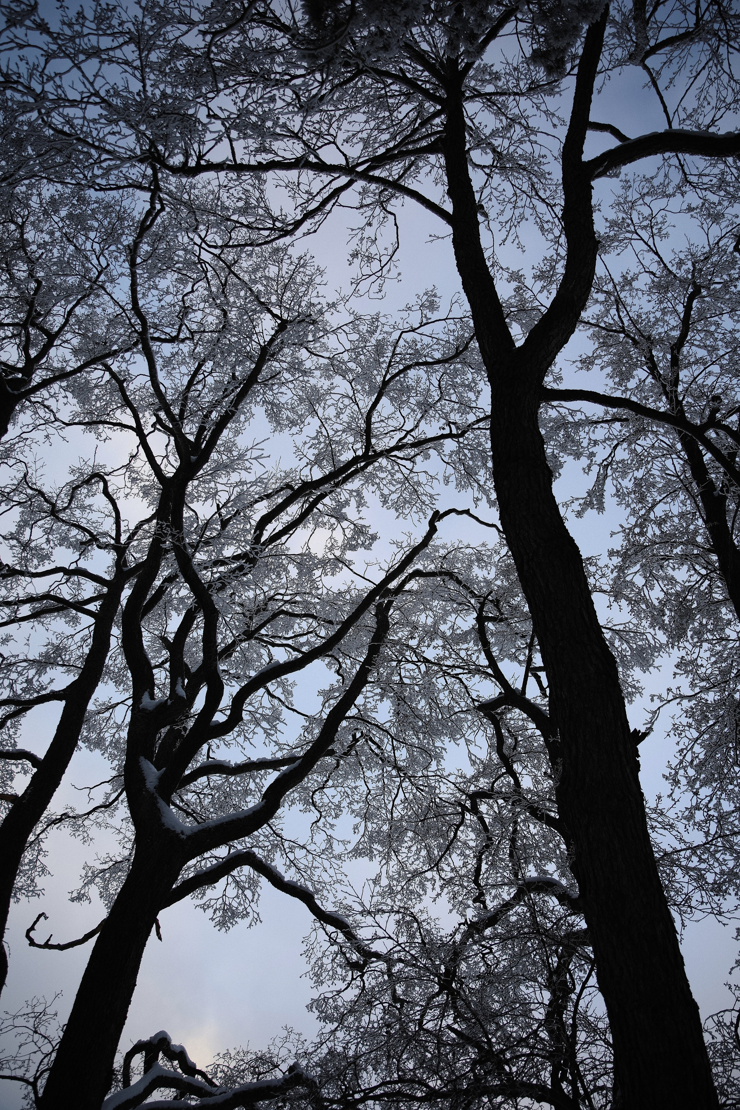 Настя. Фотограф Санкт-Петербург