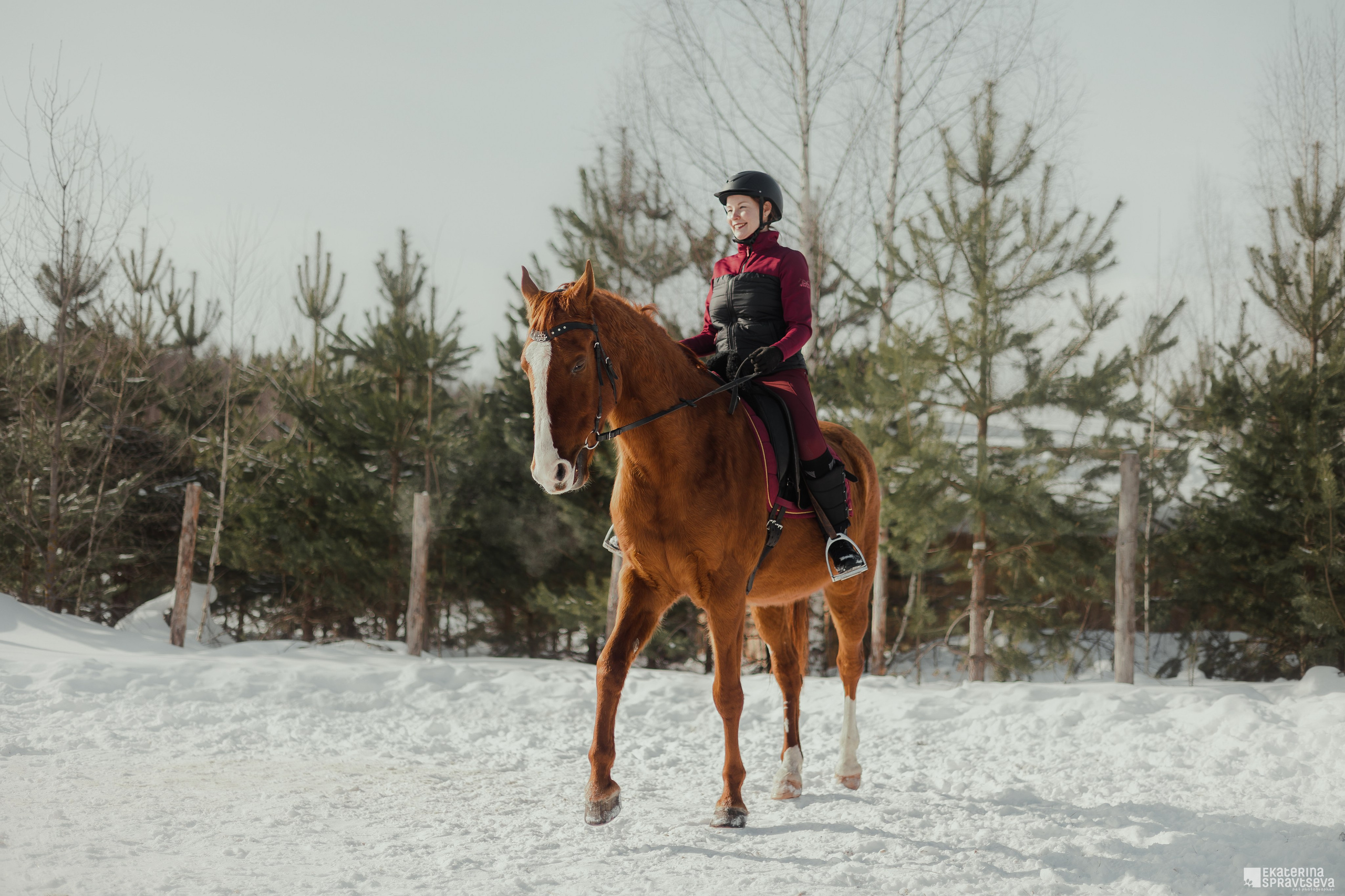 Среди грив и копыт. Фотограф Анималист Екатерина Справцева в Нижнем Новгороде