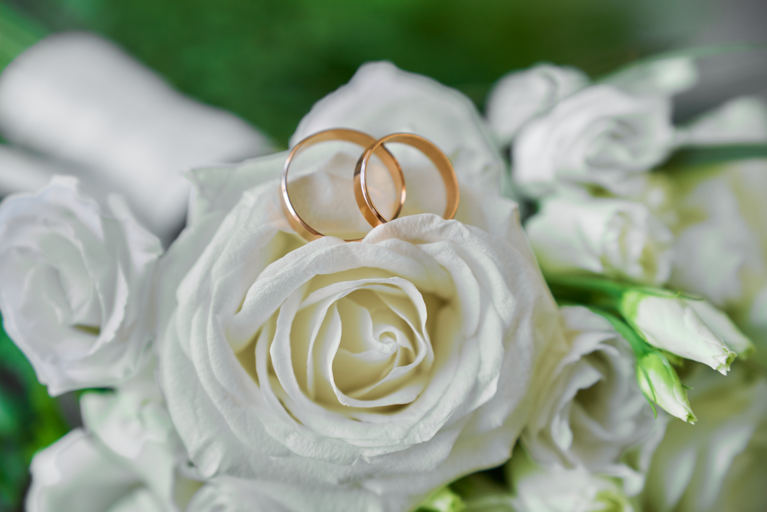 Денис & Татьяна. Профессиональный фотограф в Воронеже Владислав Крылов