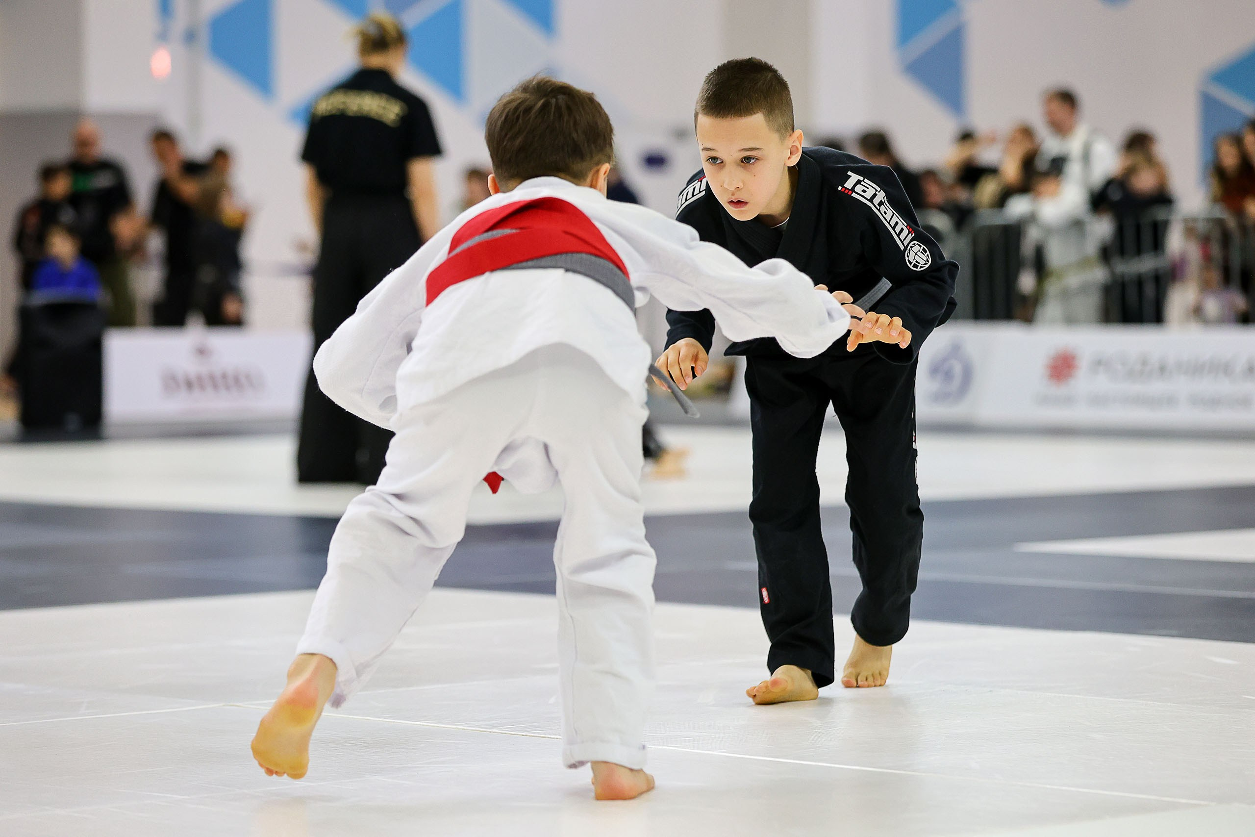 BJJ. Спортивный фотограф в Нижнем Новгороде и Сочи Ангелина Ильичева