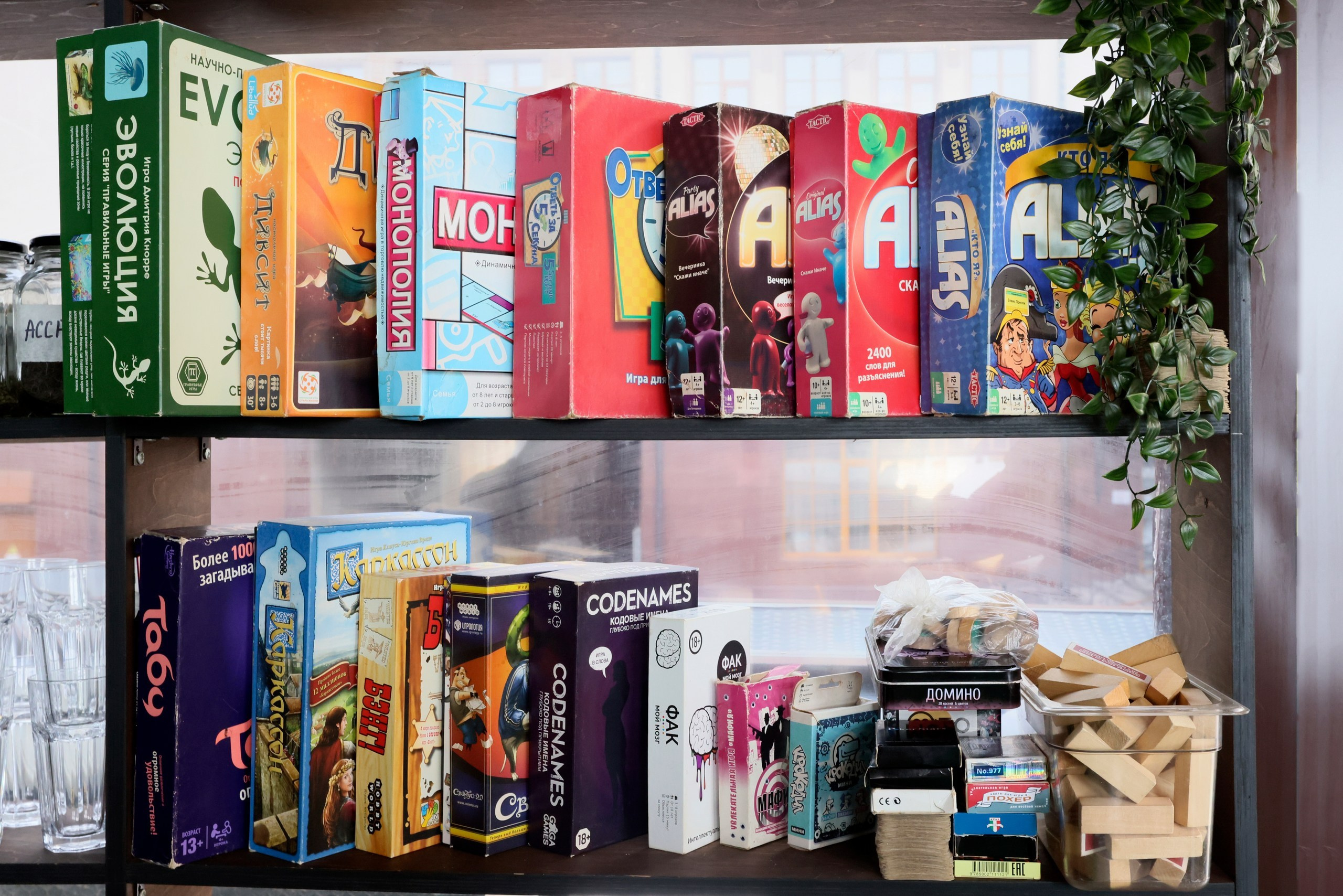 Аквариум. Фотограф в Туле Крупский АнДРей. Фотостудия «КАДР71» в Туле