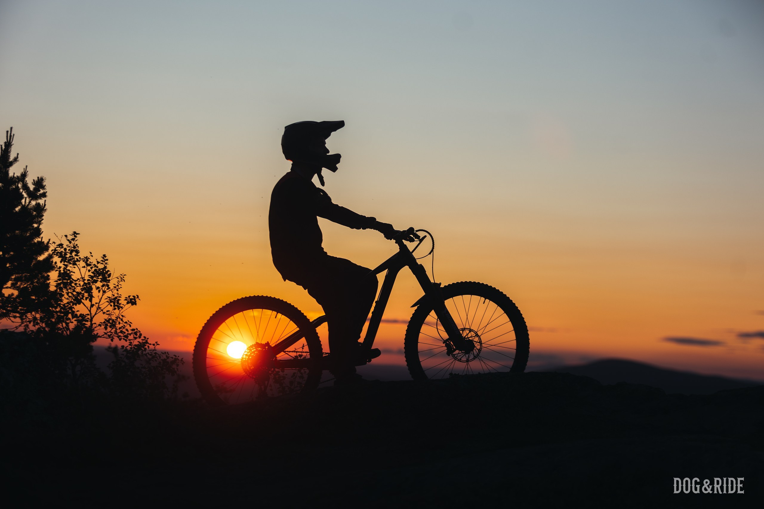 Кандалакшка. Фотограф анималист Никита Натальный