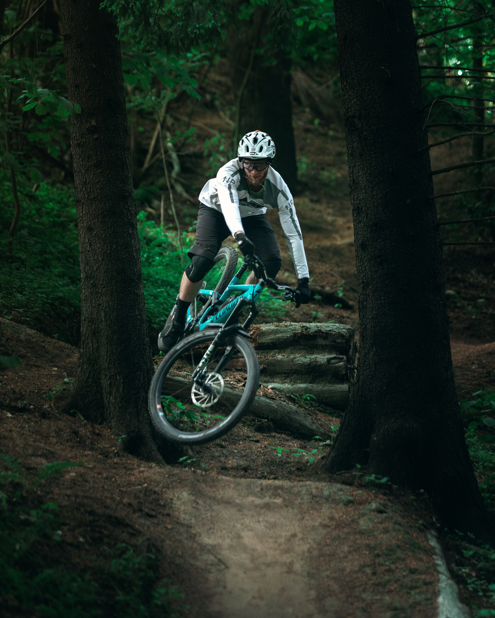 Саша и Ваня. Фотограф анималист Никита Натальный