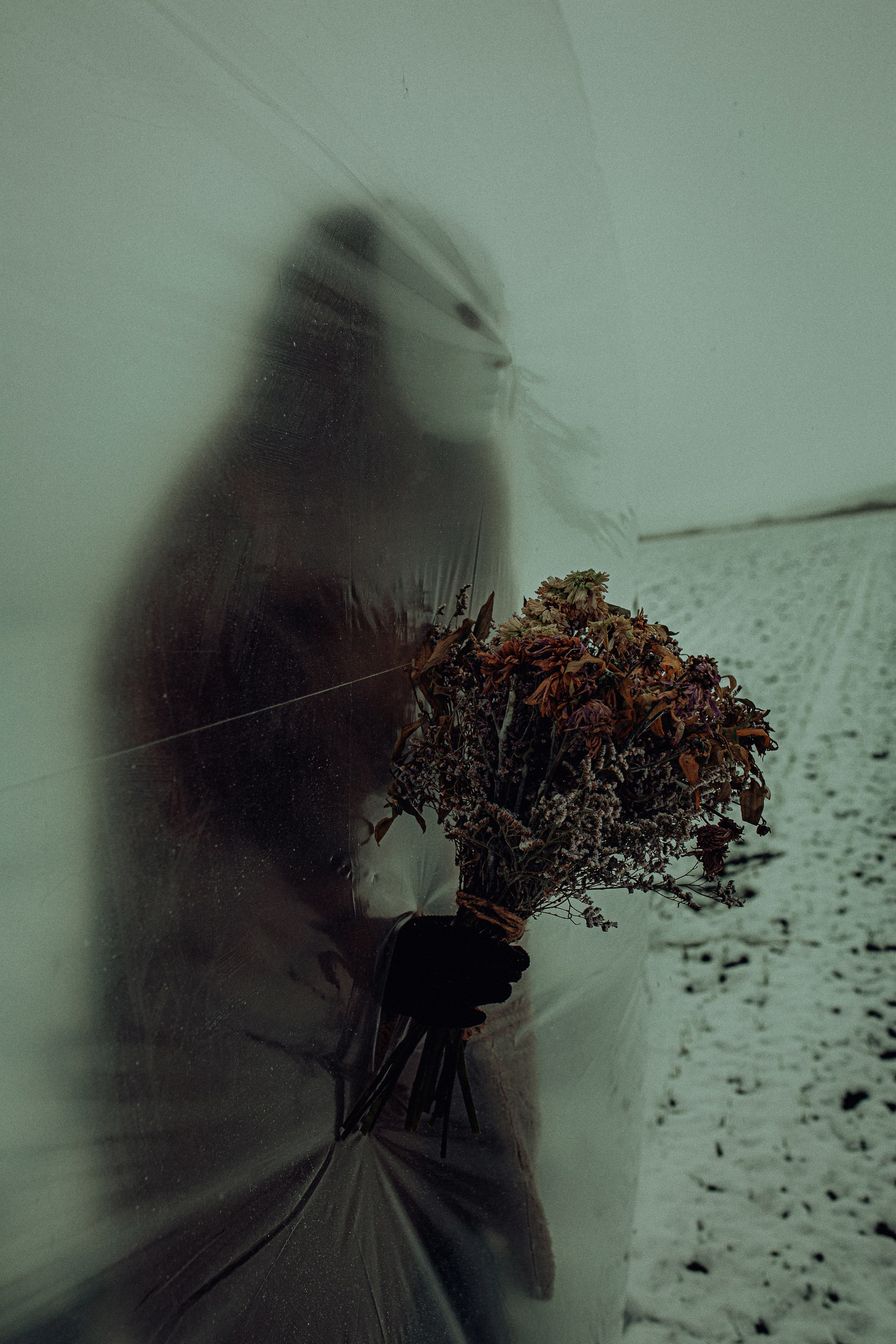 Дух зимних полей. Фотограф Краснодар/преподаватель фотографии