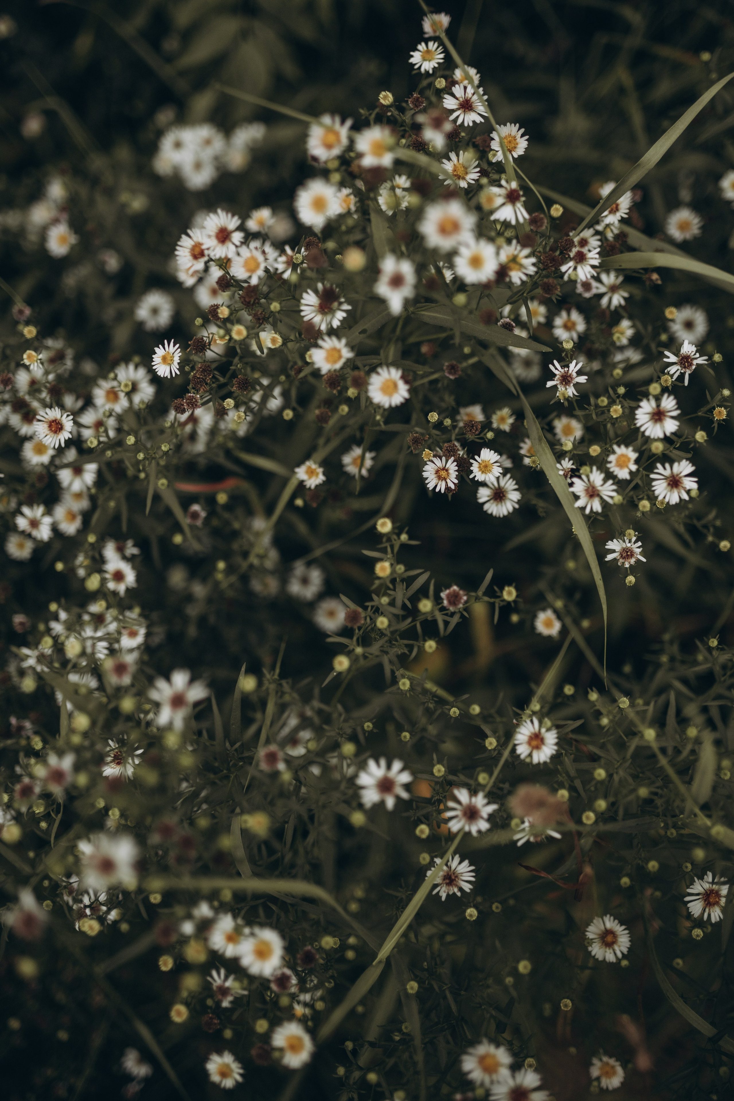 Задержи дыхание. Семейный фотограф в Брянске Зурилина Екатерина