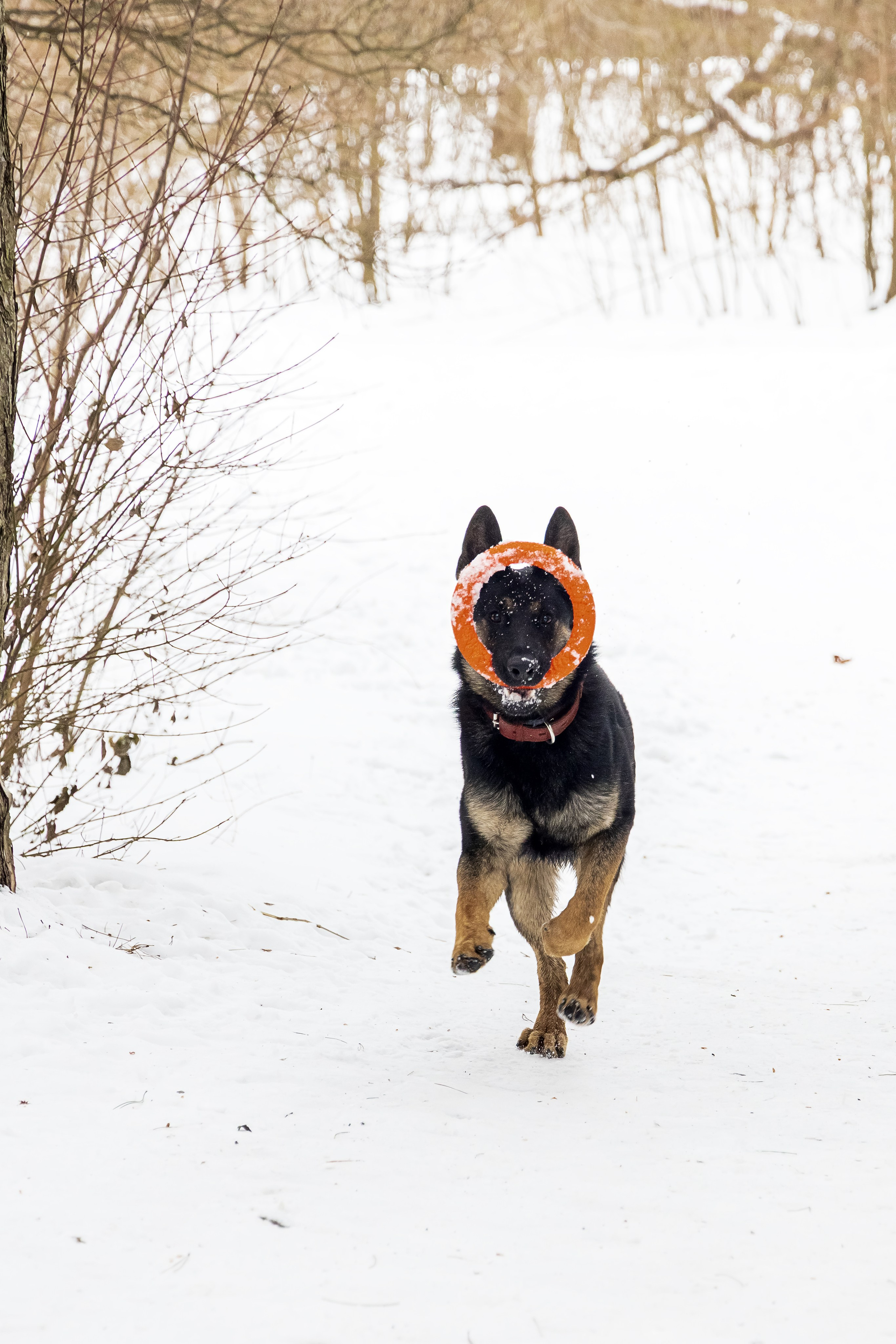Анна и Рич. Фотограф в Ростове-на-Дону