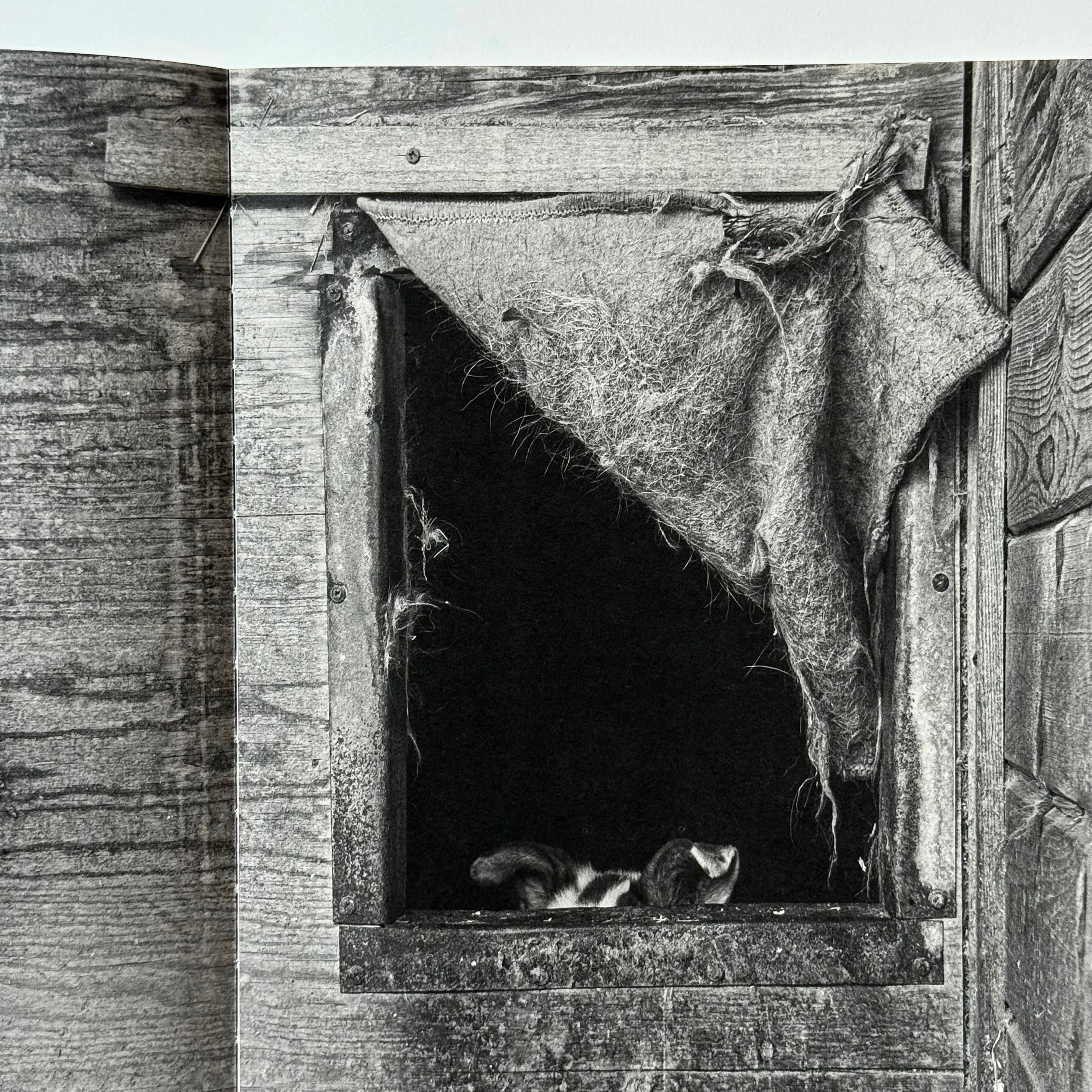 Фотокнижная библиотека Инны Шиловской. Фотограф и исследователь фотографии из Санкт-Петербурга Елизавета Веприцкая