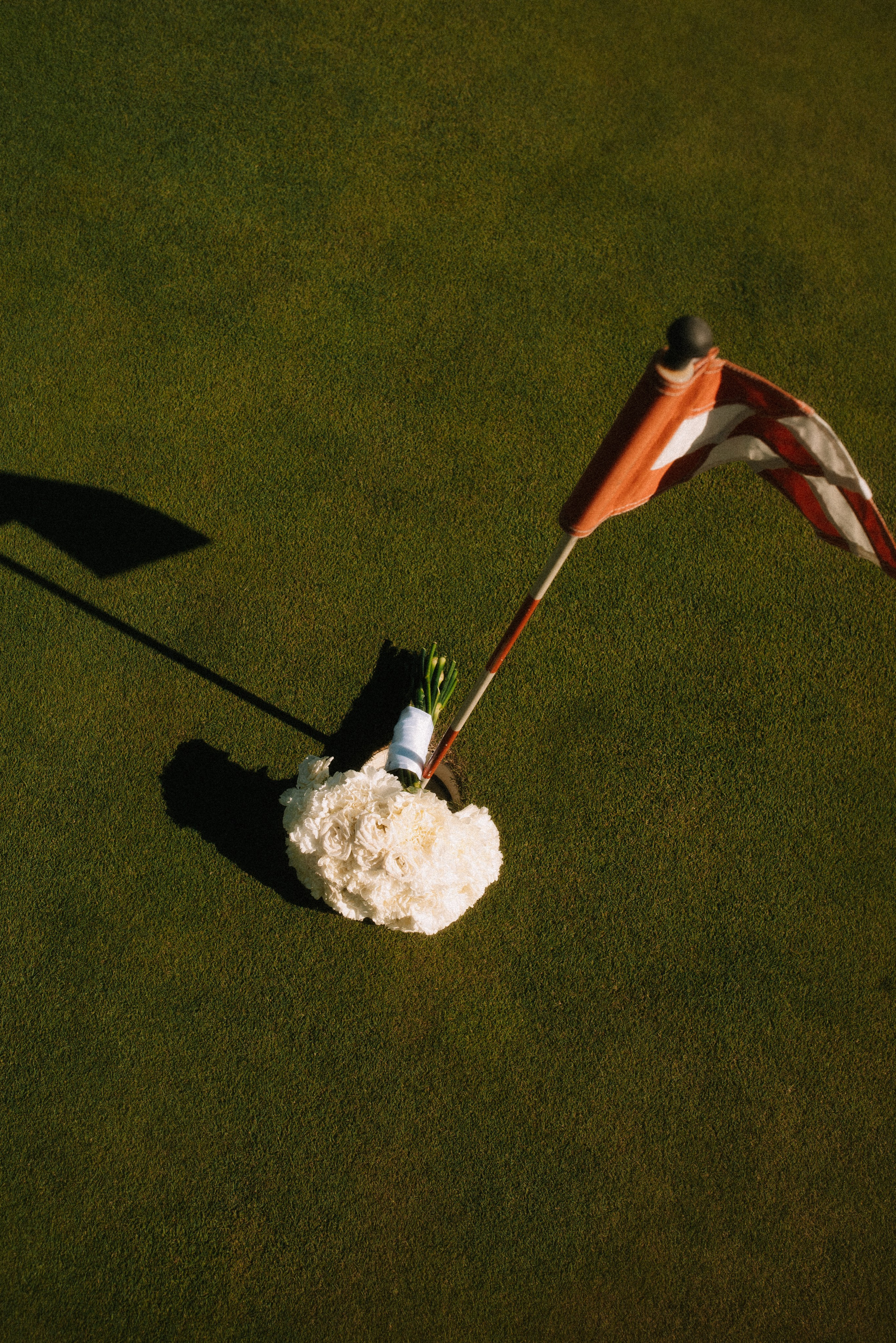 Александр и Виктория. Фотограф Санкт-Петербург, Новороссийск