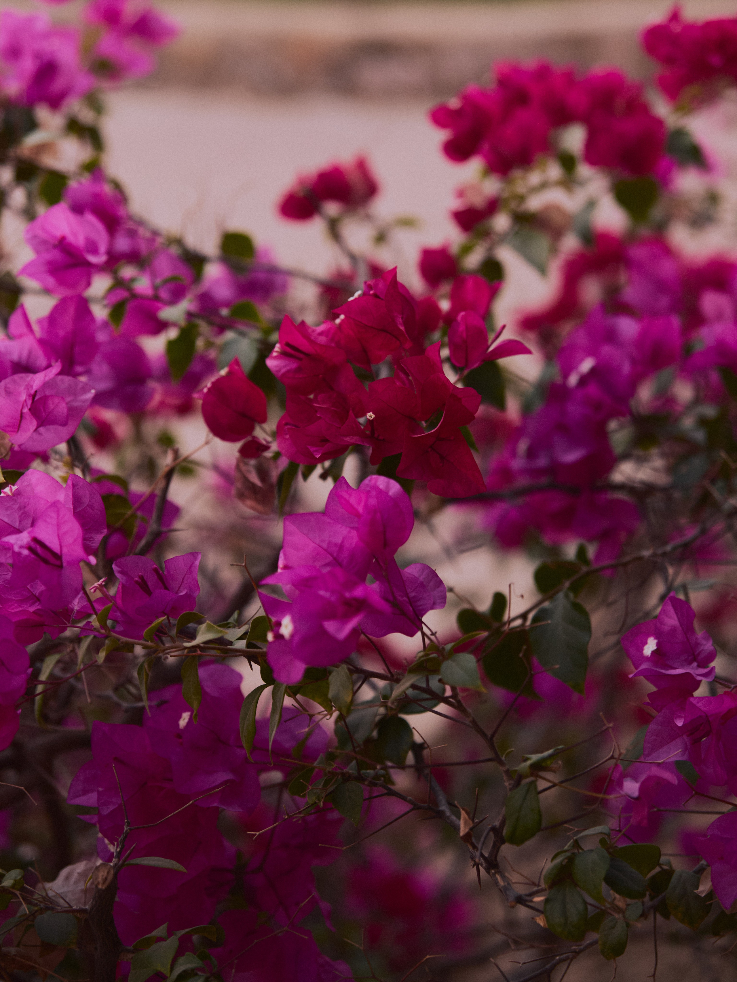 Другое 2. Jorgis Talè — photographer, kind person, teacher of arts and other mag