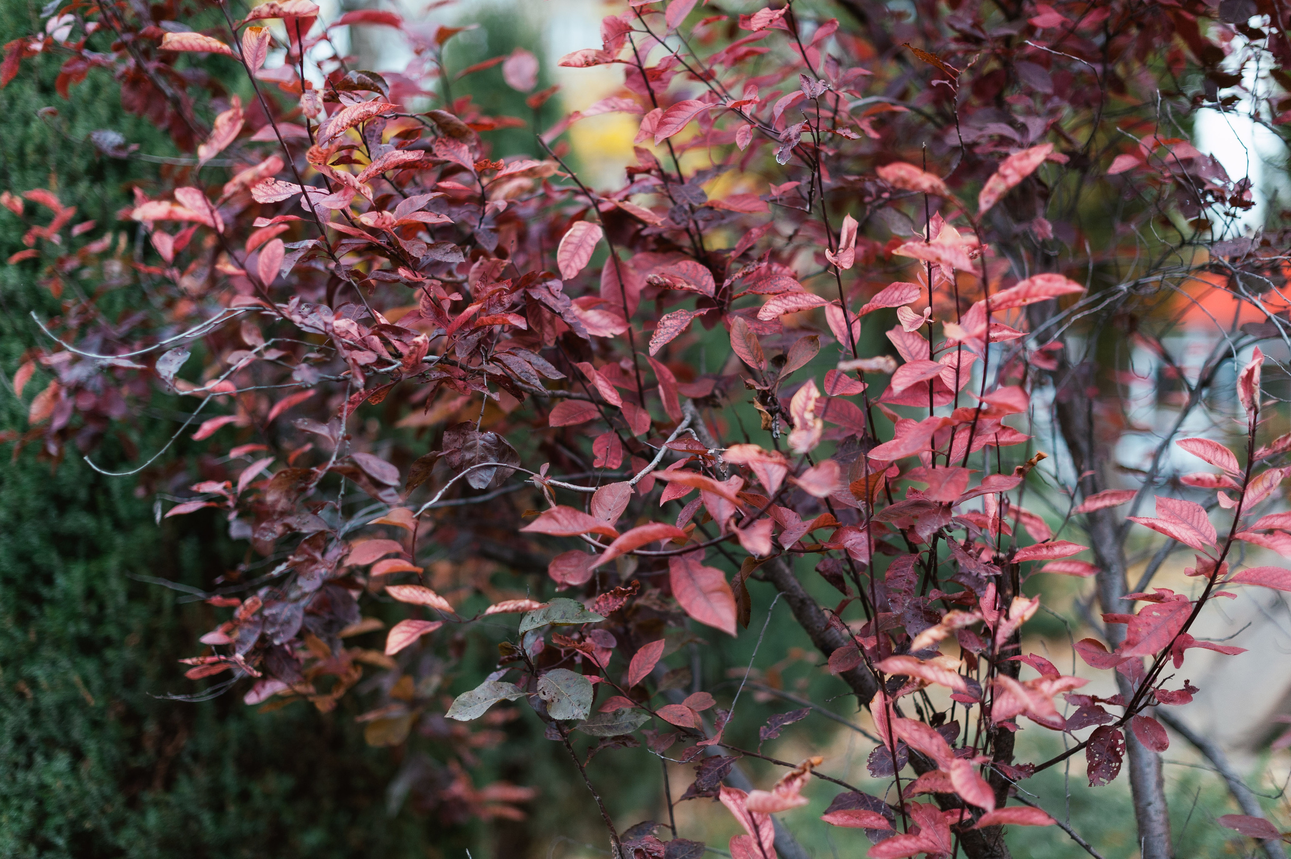 Такая теплая осень. Свадебный и семейный фотограф в Ростове-на-Дону Буткова З