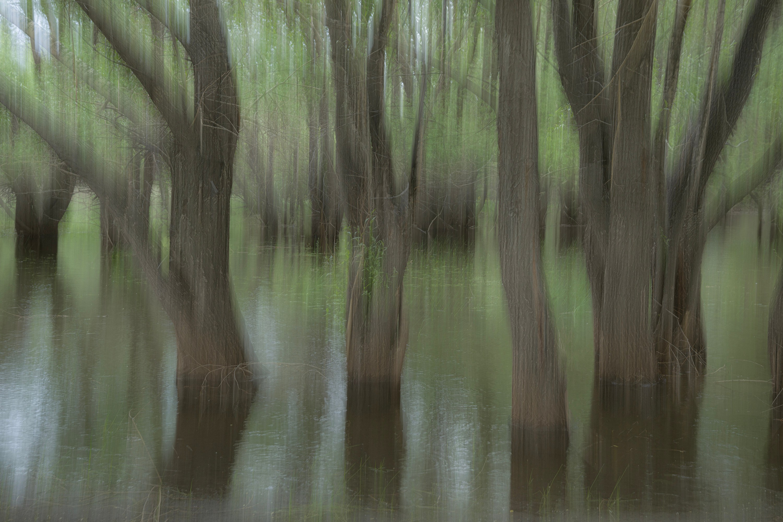 Оренбуржье. Портретный фотограф в Челябинске Катерина Руди