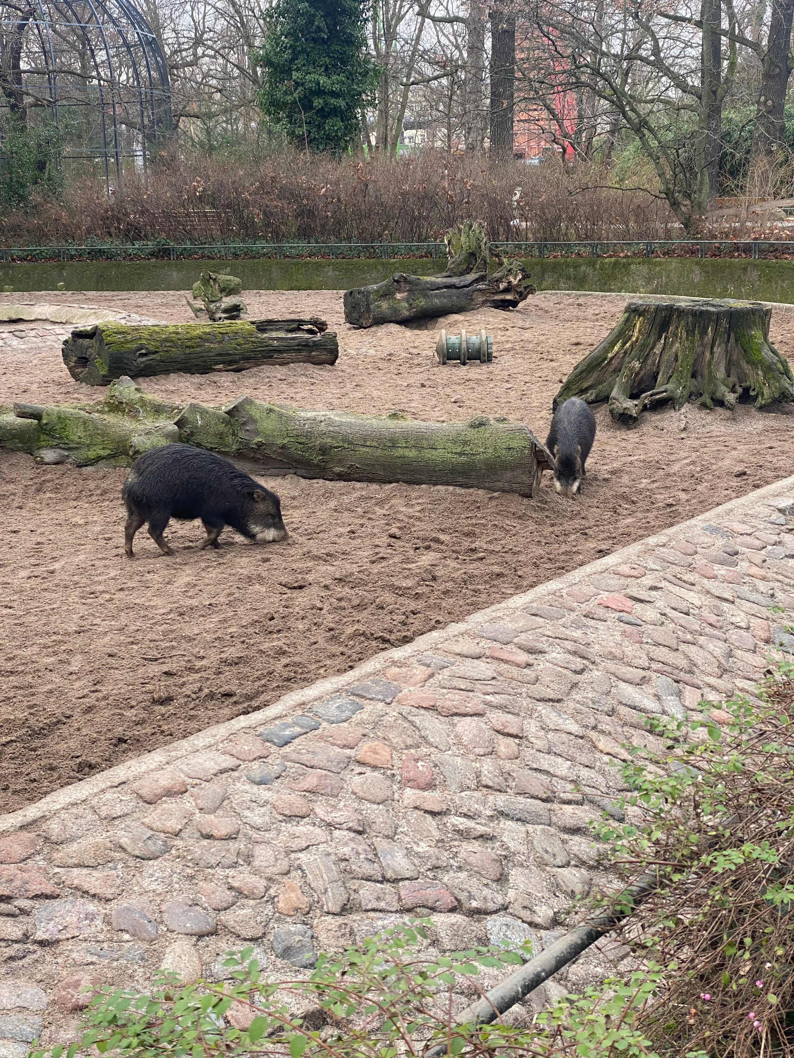 Берлин. Своя Мастерская