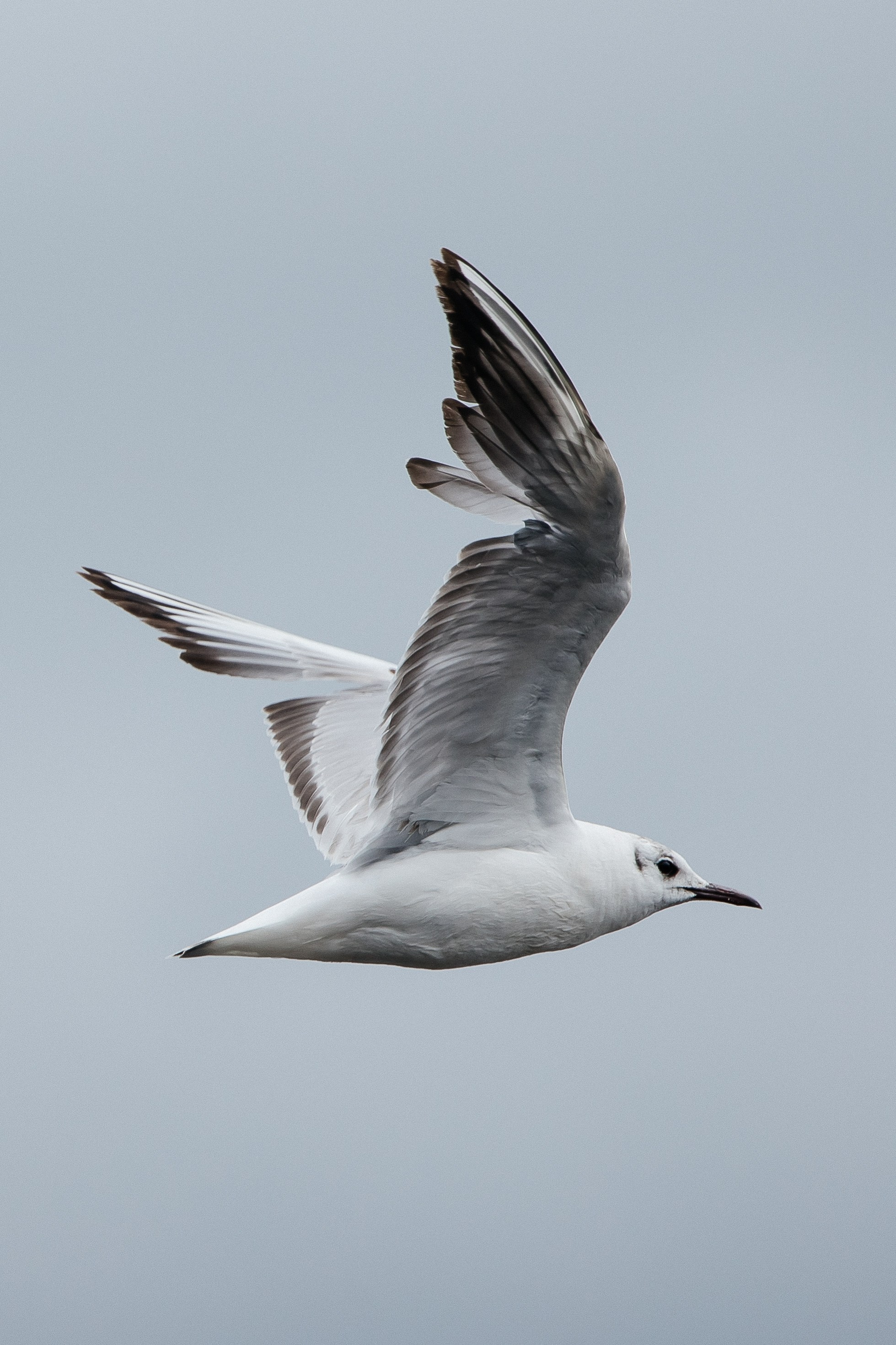 ПЕЙЗАЖ И ЛЮДИ. Саргылана Афанасьева
