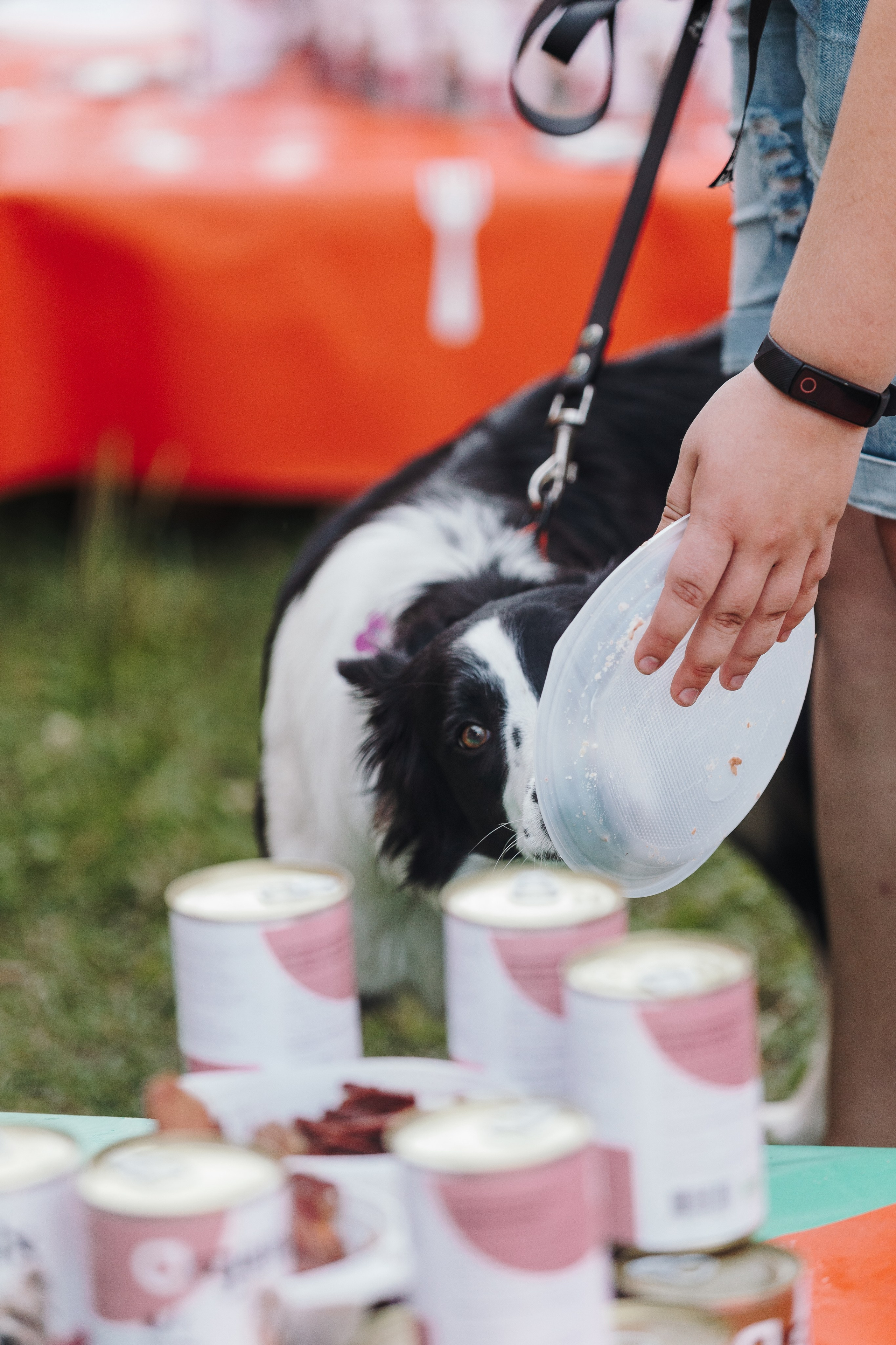 Petshop Sup day. Фотограф анималист Кристина Карпова, Москва