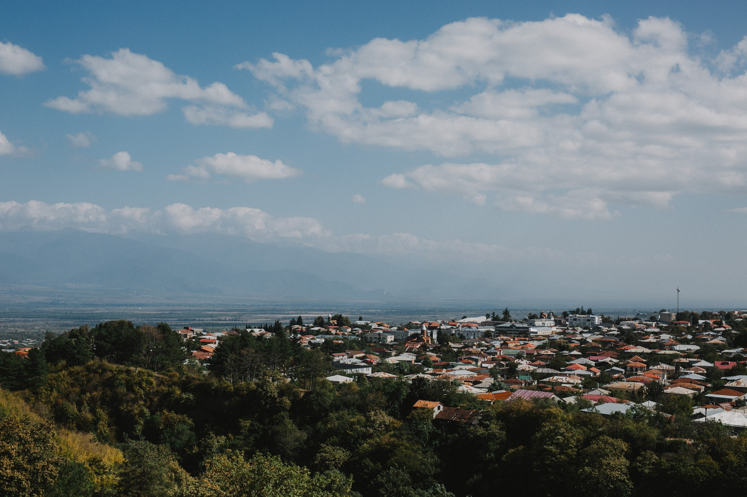 Teya & Jan. Kakheti wedding. Свадебный фотограф Грузия Alex and Polly