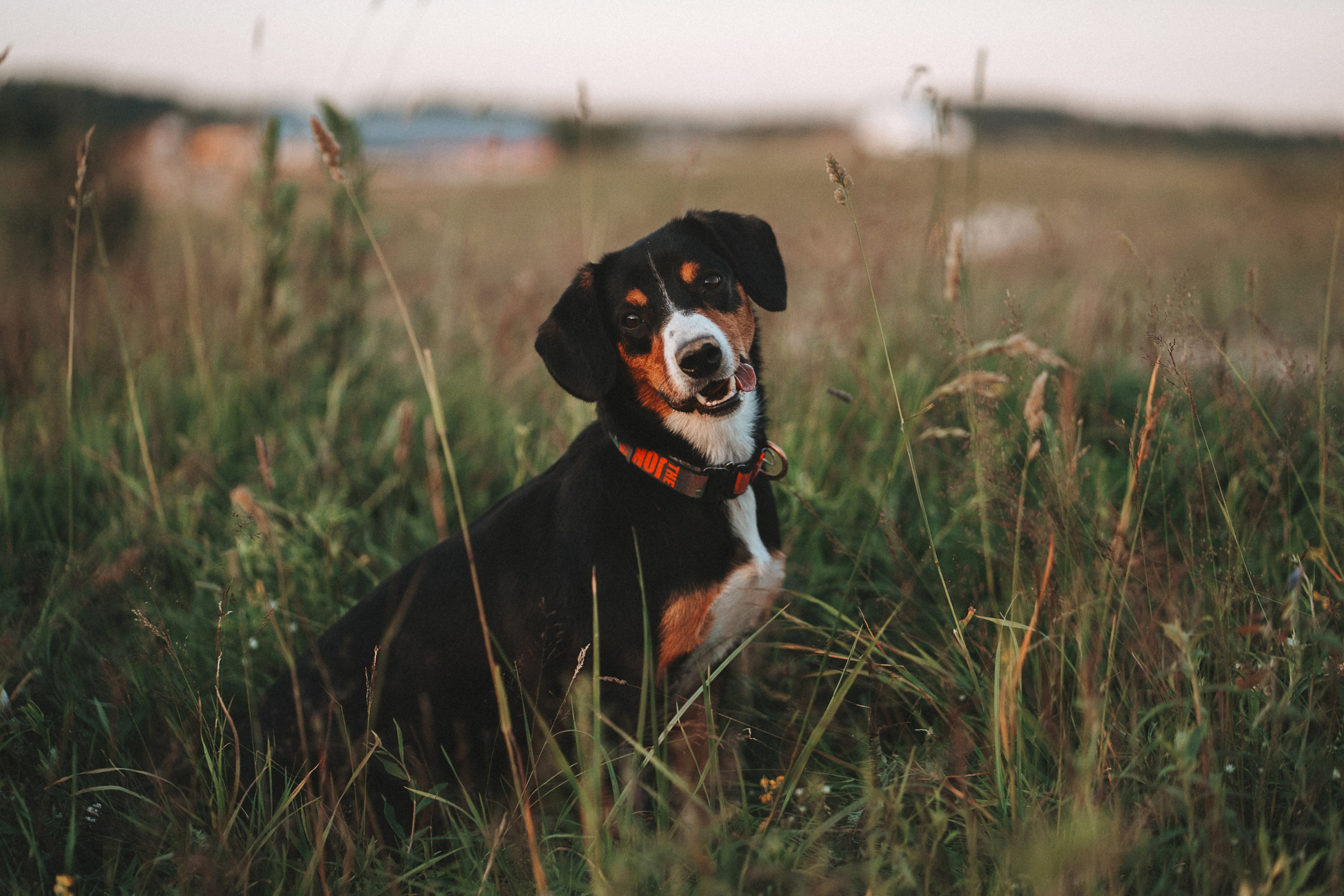 Семейные. Главная