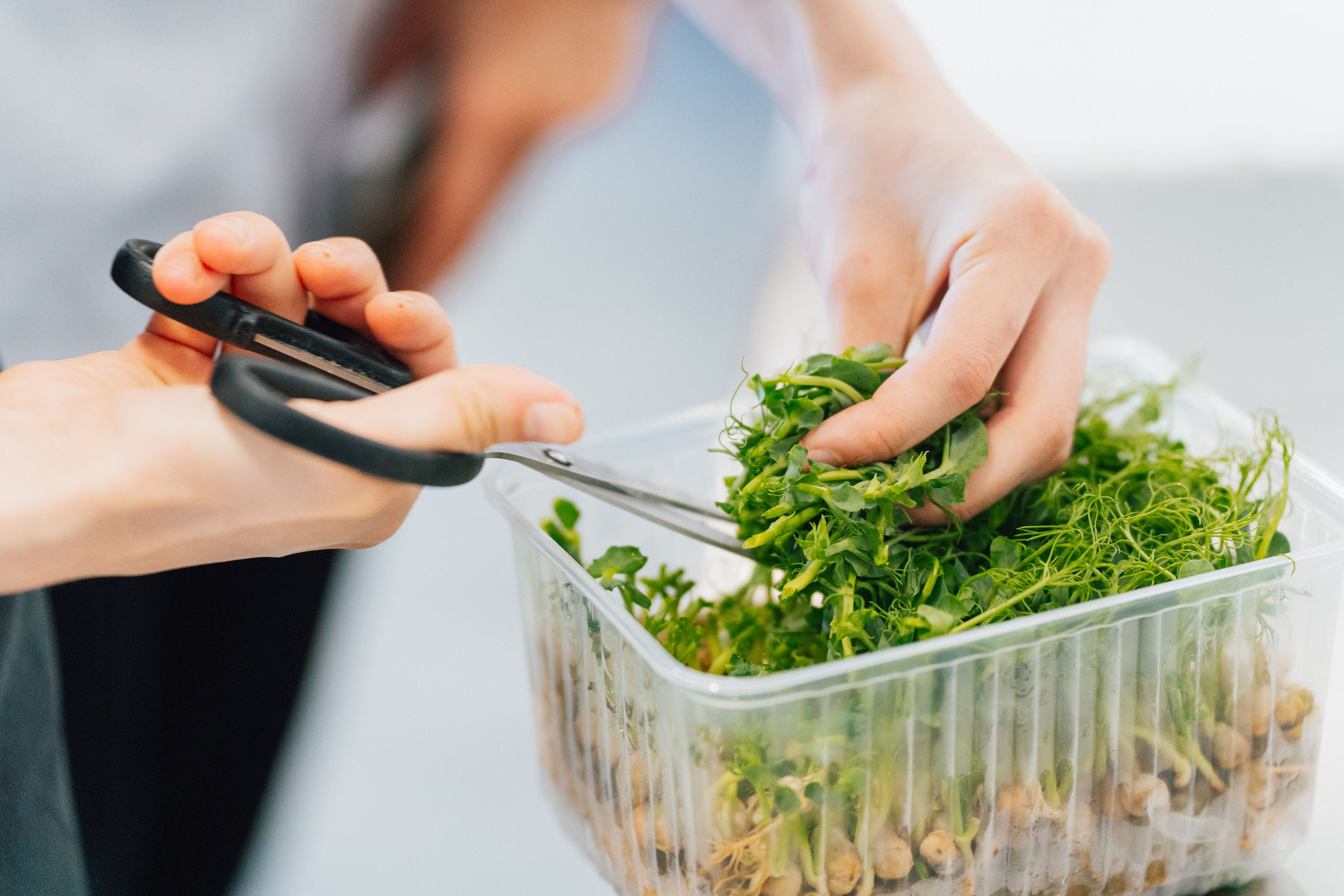 Еда, маркетплейсы, предметные и контент снимки. Репортажный фотограф в Калининграде Морозов Кирилл