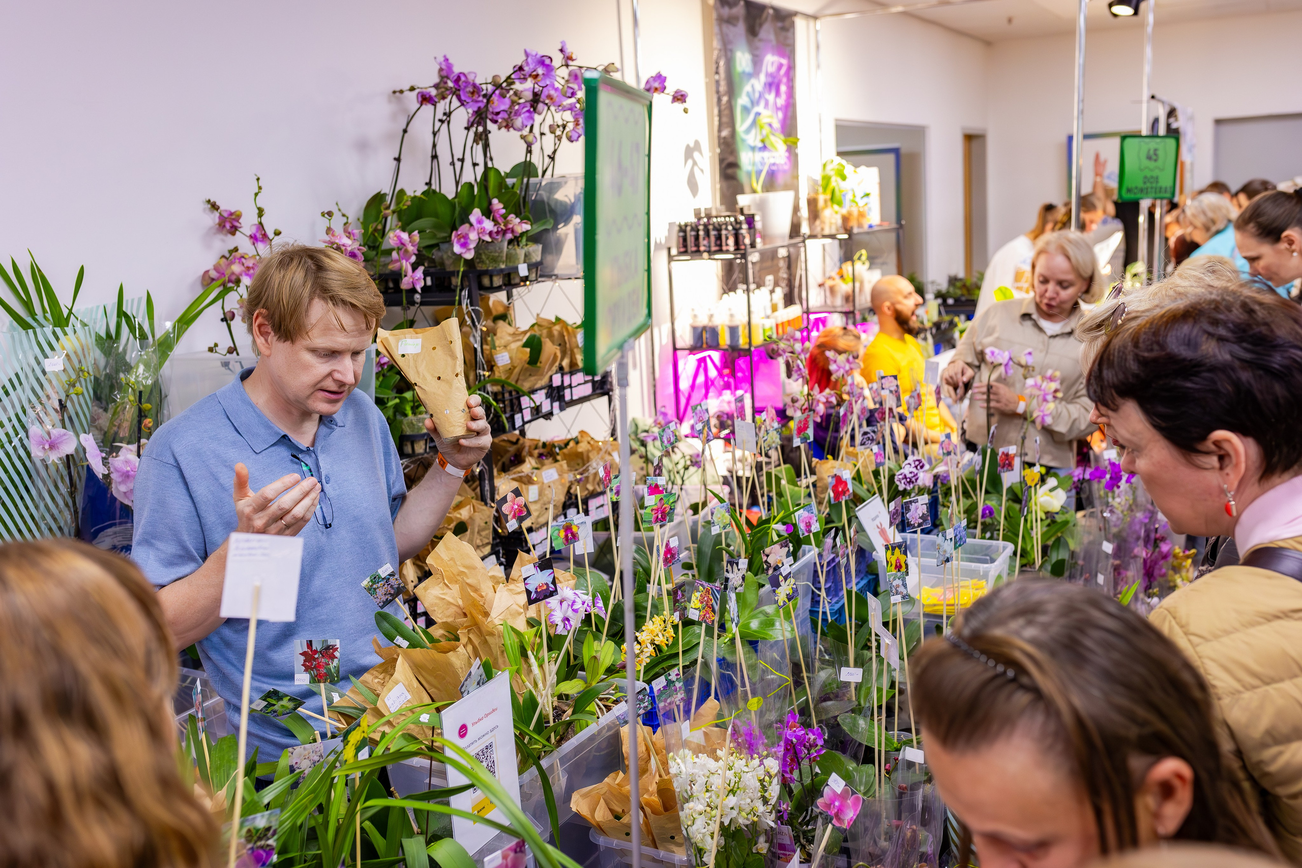 Орхидиум сентябрь 2025. Александра Куликова фотограф, Москва