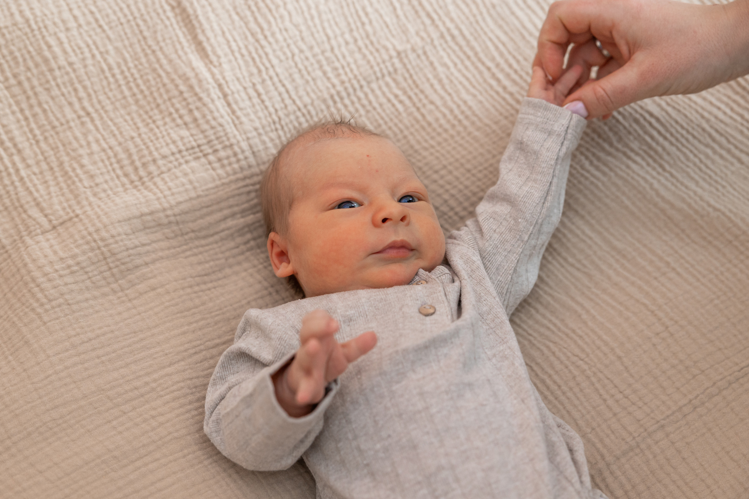 Выписка MD Group. Фотограф Крещение, Выписка москва