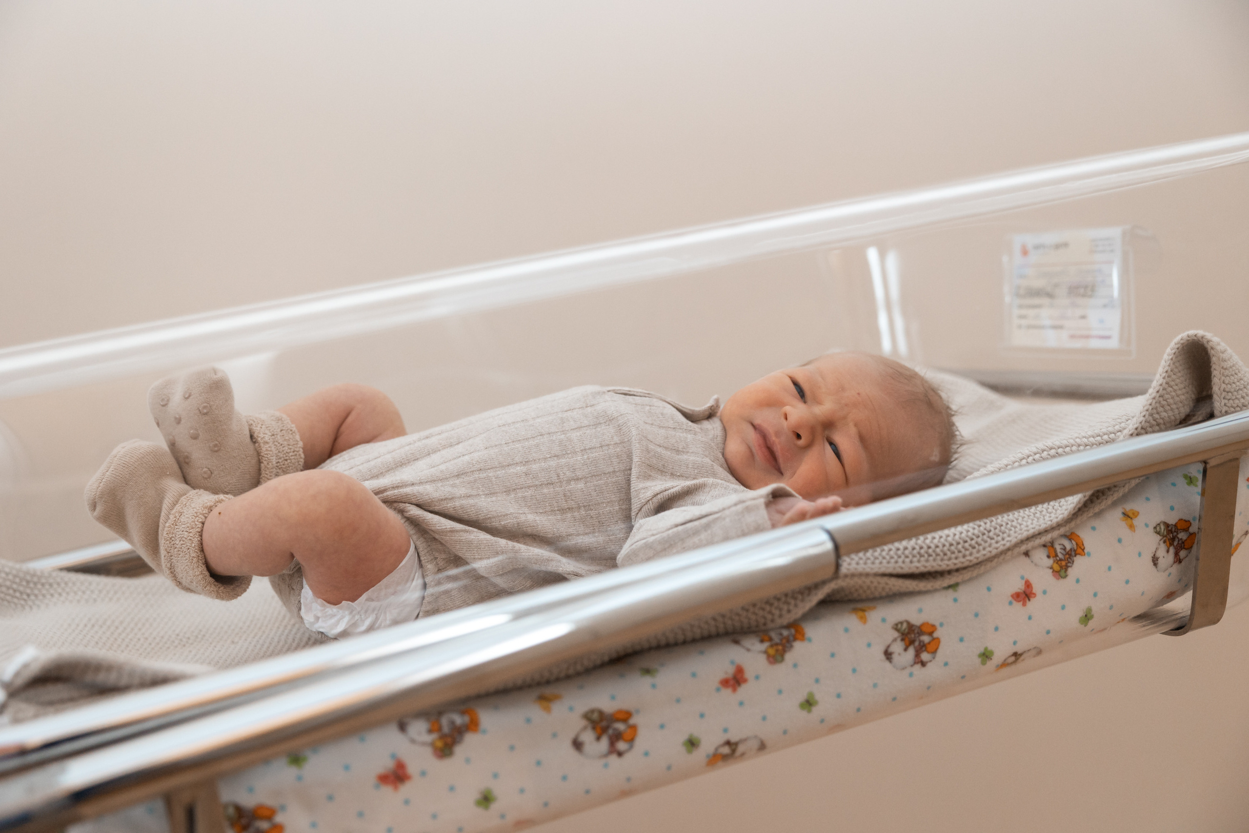 Выписка MD Group. Фотограф Крещение, Выписка москва