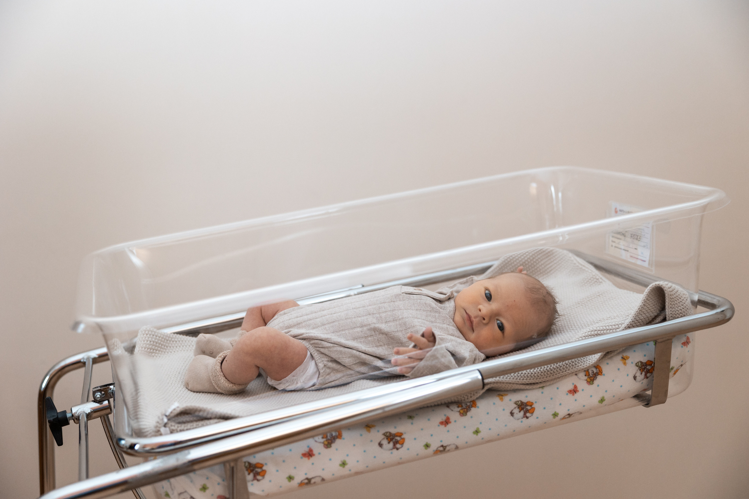 Выписка MD Group. Фотограф Крещение, Выписка москва