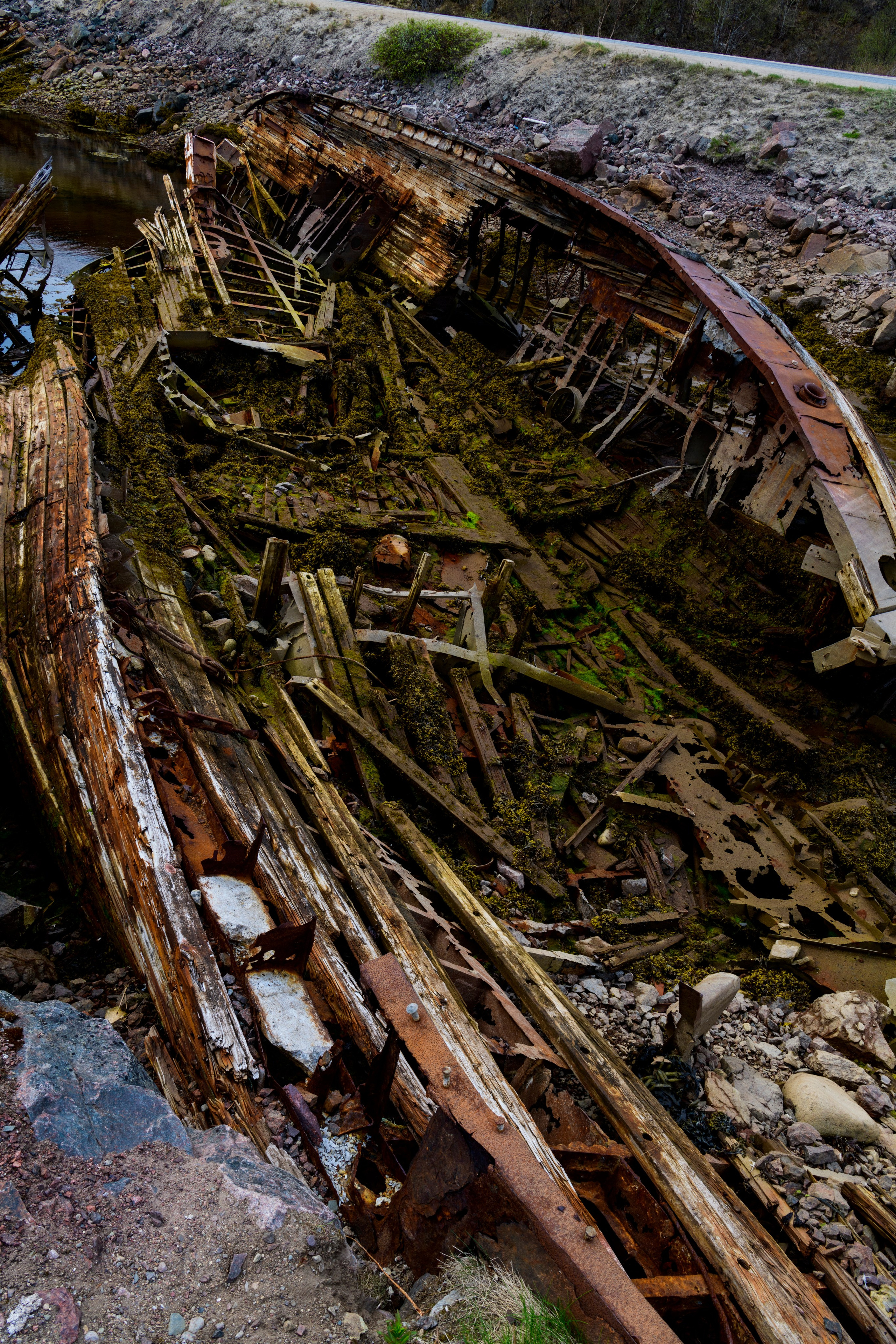 Мурманская область. Июнь 2024. Фотограф Сергей Пупонин