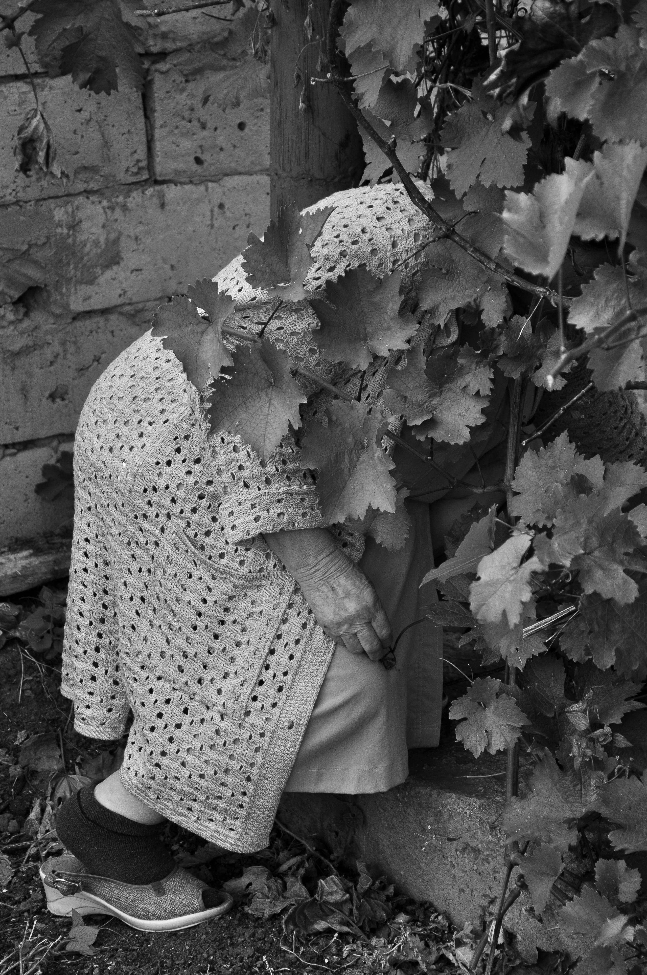 Babushka. DINA MOREVA photography