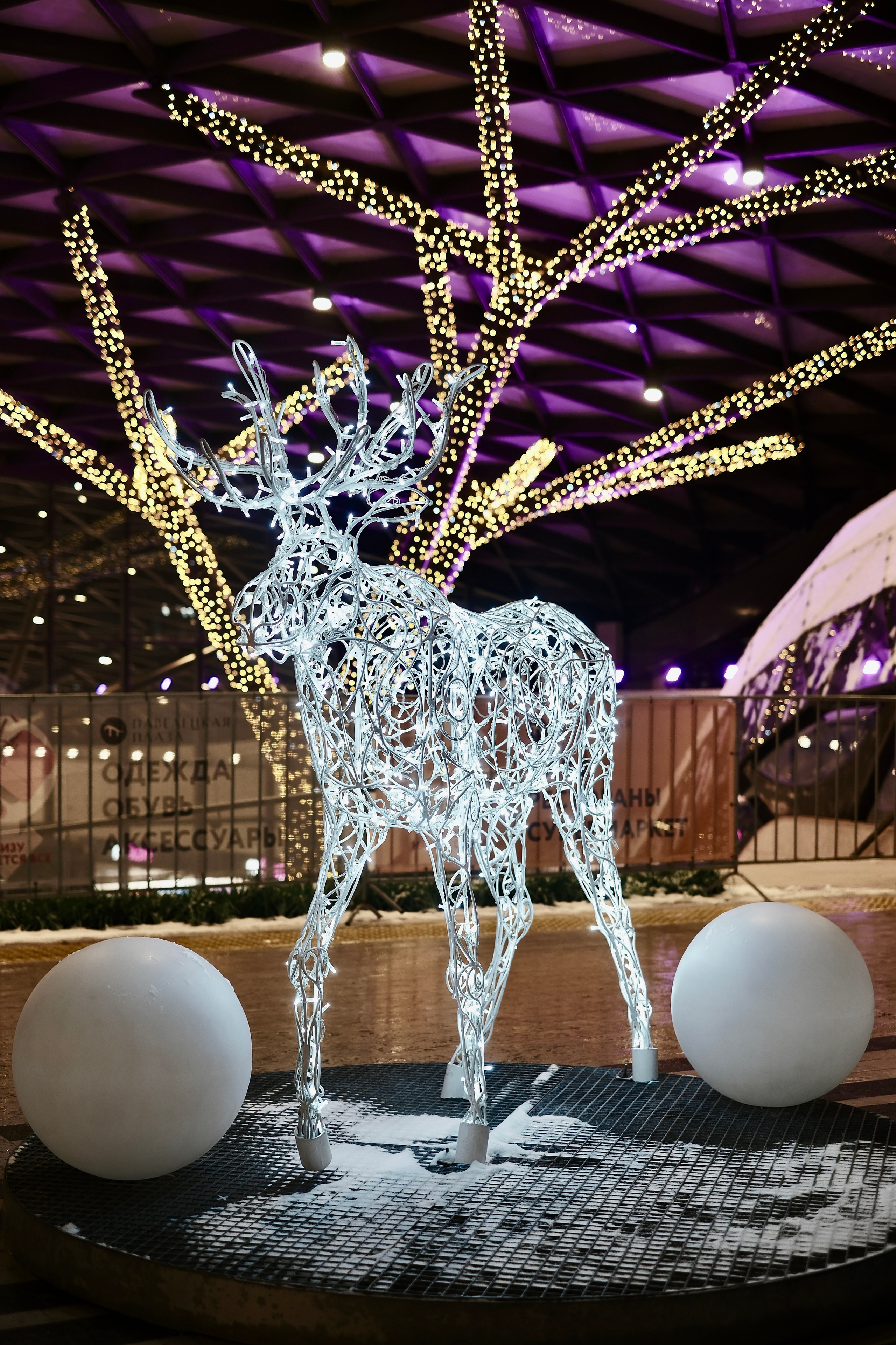 Площадь Павелецкого вокзала. Авто и мотоспорт — фотограф Антон Медведев iCoguar