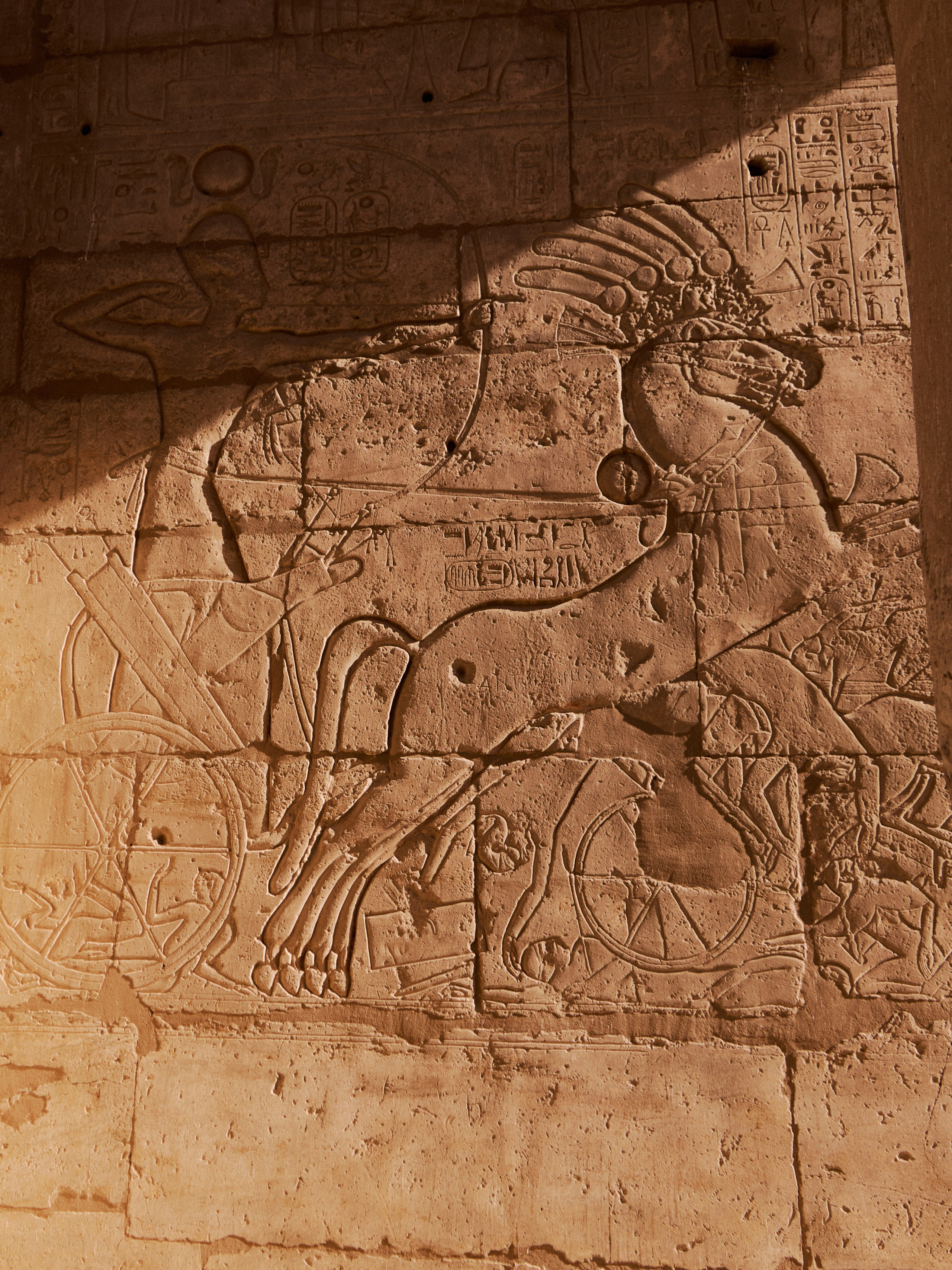 Другое 4. Jorgis — фотограф в Хургаде / обучение фотографии