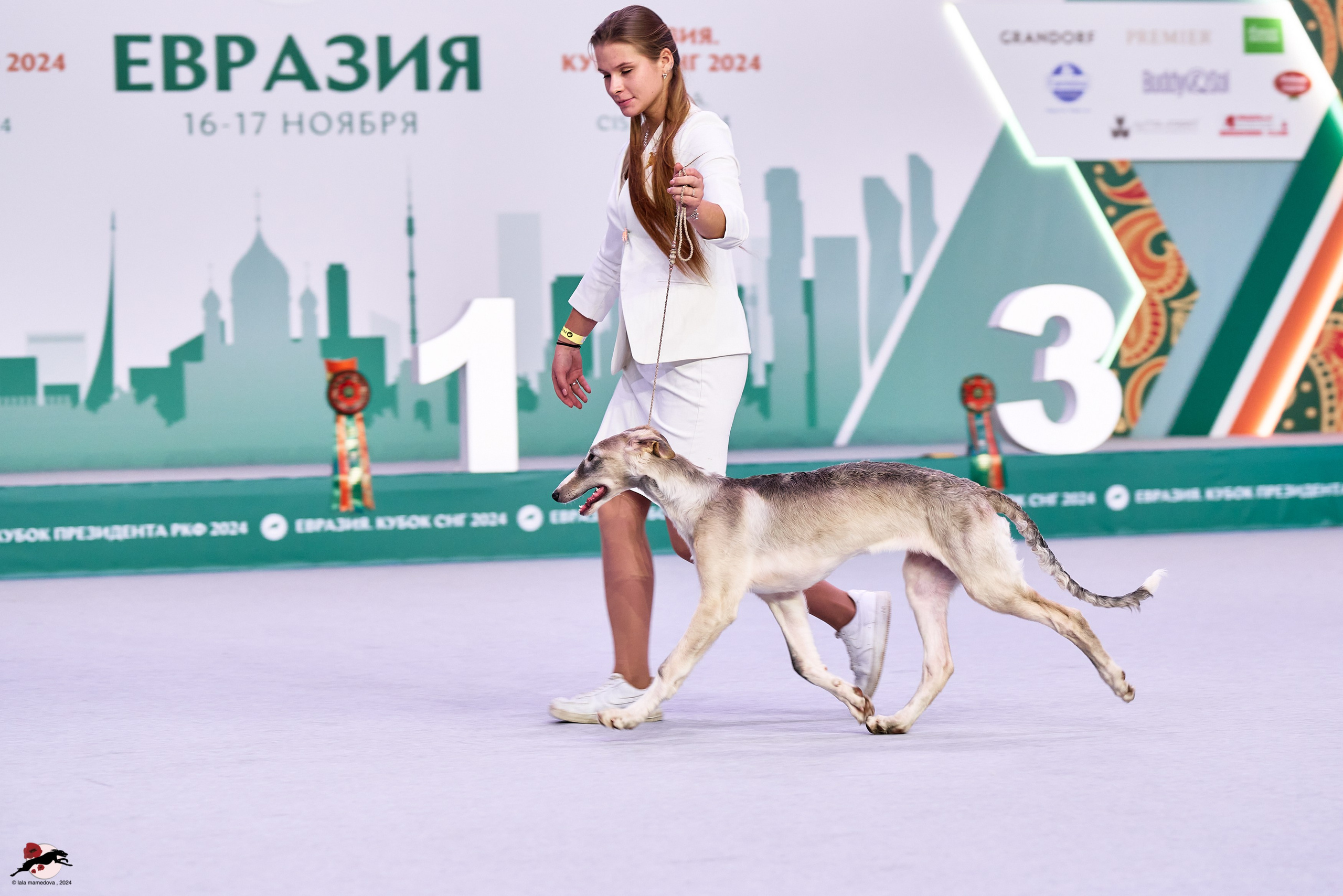 17.11.2024 «ЕВРАЗИЯ. КУБОК СНГ 2024»