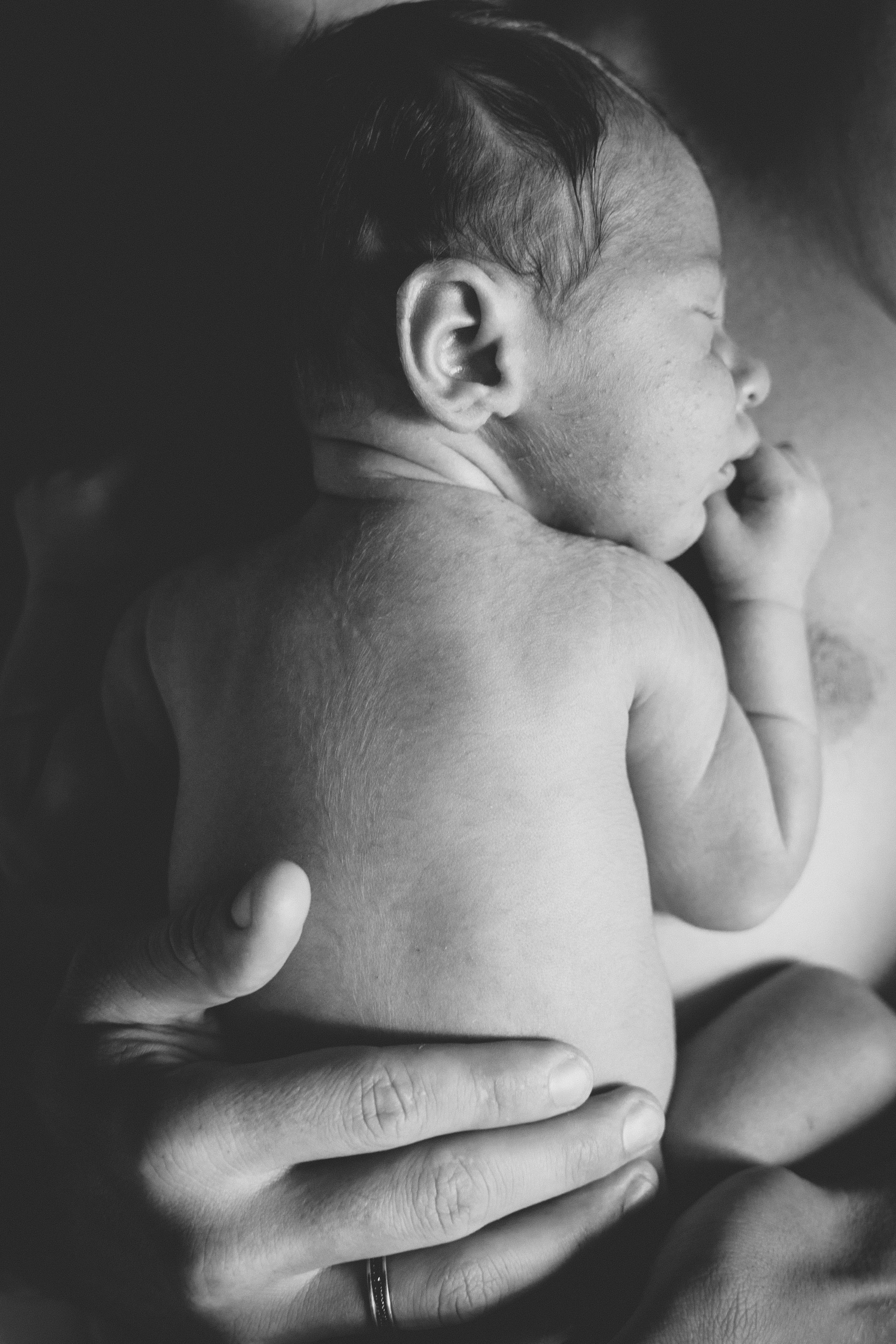 Прайс и Условия. Семейный фотограф и фотограф на роды в Ростове-на-Дону Мухина Виктория