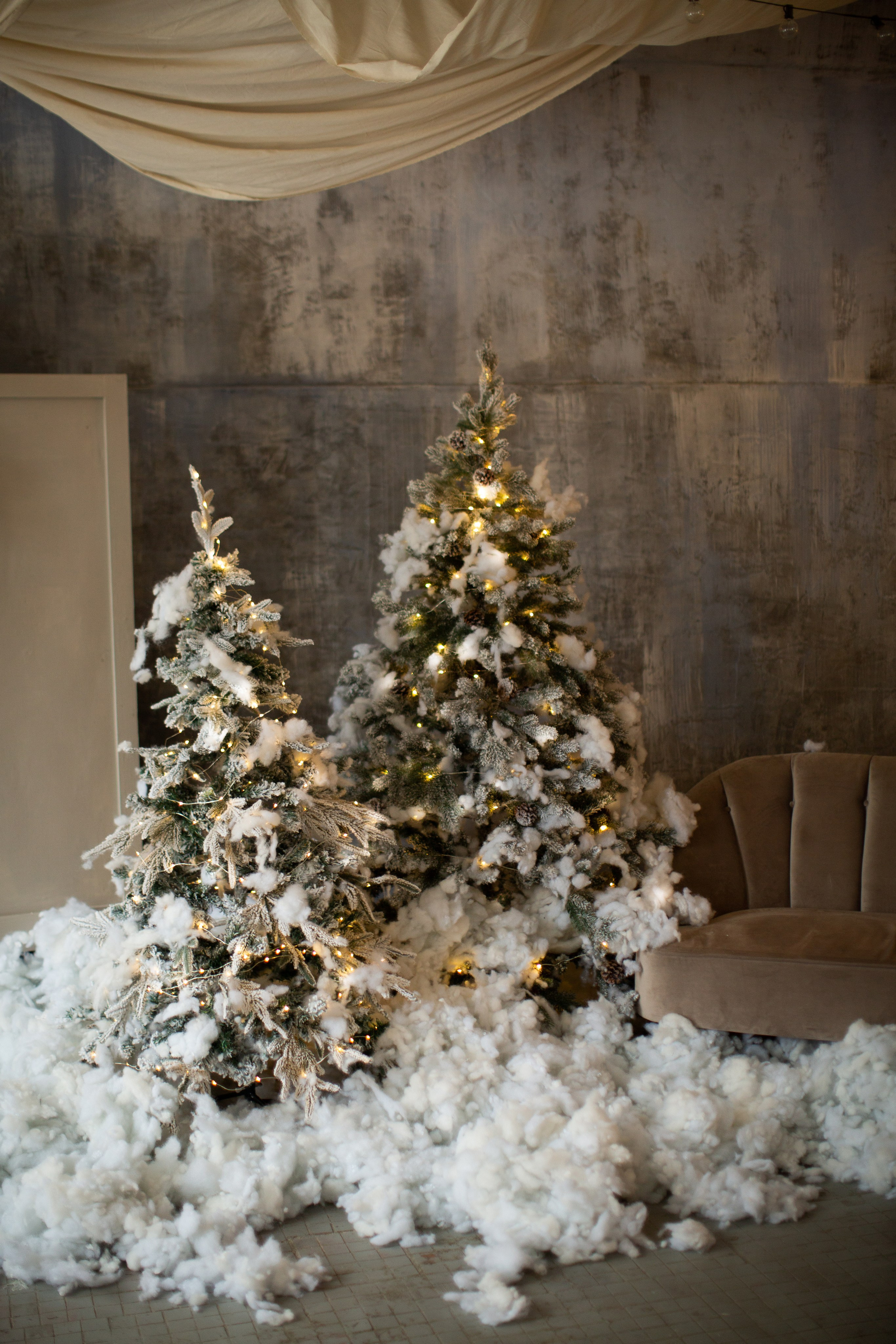 Нг24. Фотограф НатаФото (Наталья Яковенко) Дмитров Москва Питер