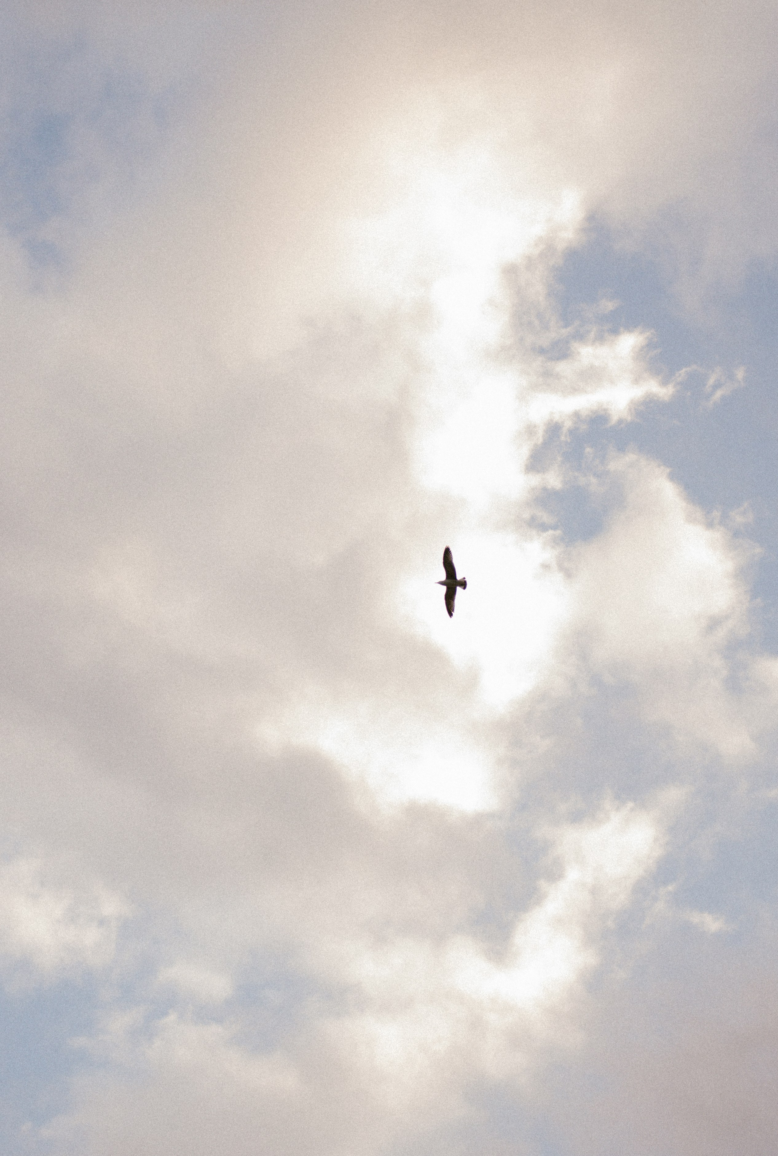 Она сказала «ДА!». Свадебный, женский, семейный фотограф в Севастополе Юлия Мошенко