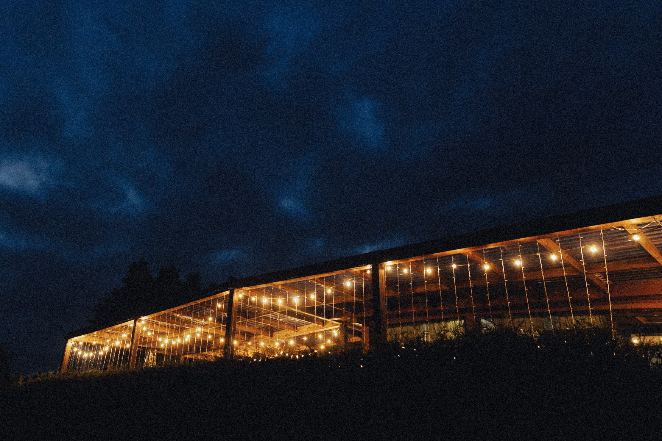 Emotions through film. Свадебный фотограф Екатеринбург Алексей Ладыгин