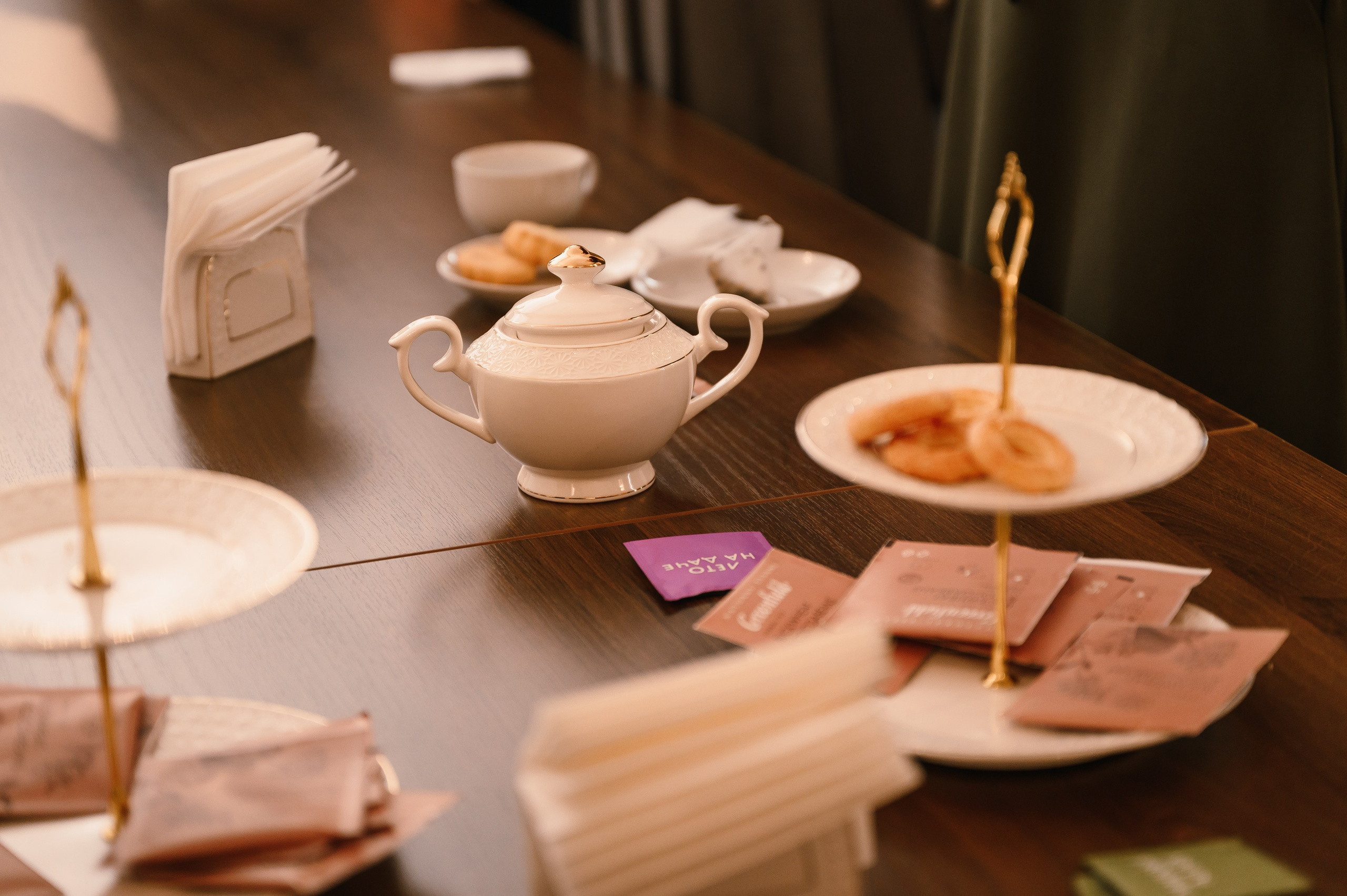 «Евгений Онегин»: лекция в особняке. Wedding and family photographer USA