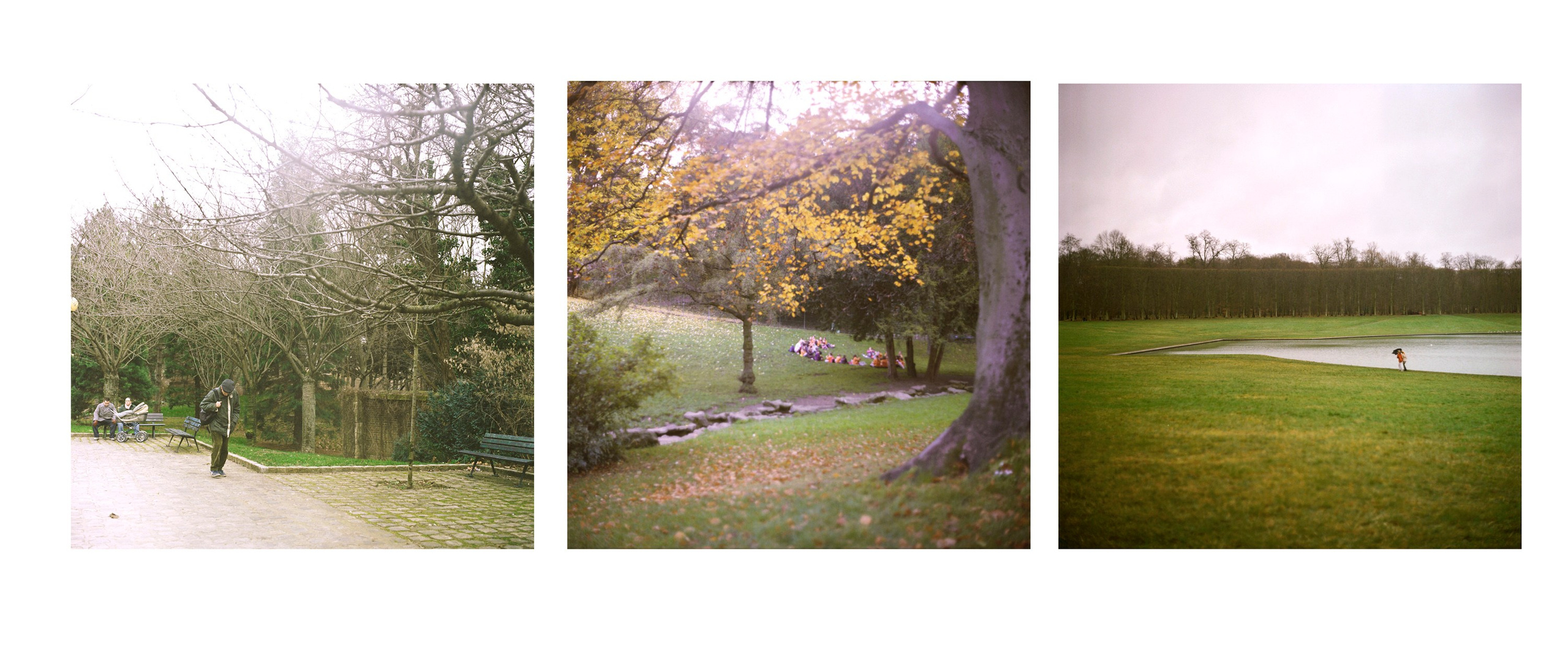 Tor. Katya Zimina, film photographer