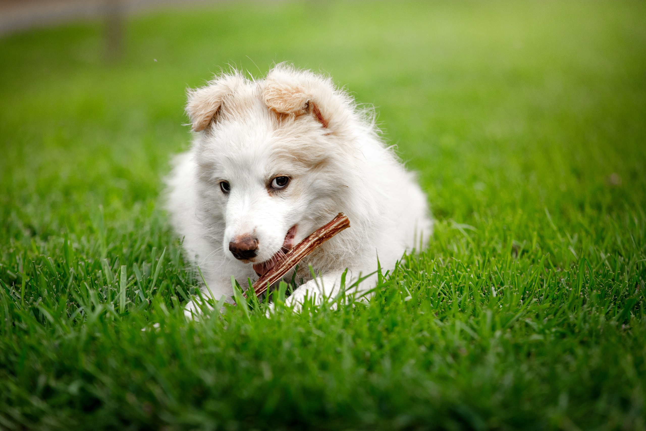 Болтовня в саду. О нас