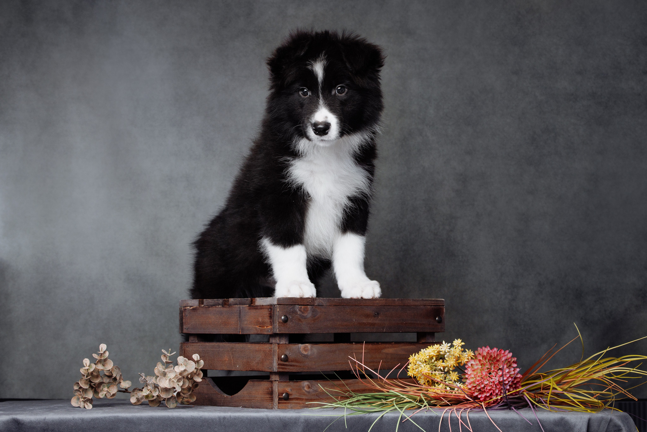 Помет а. О нас