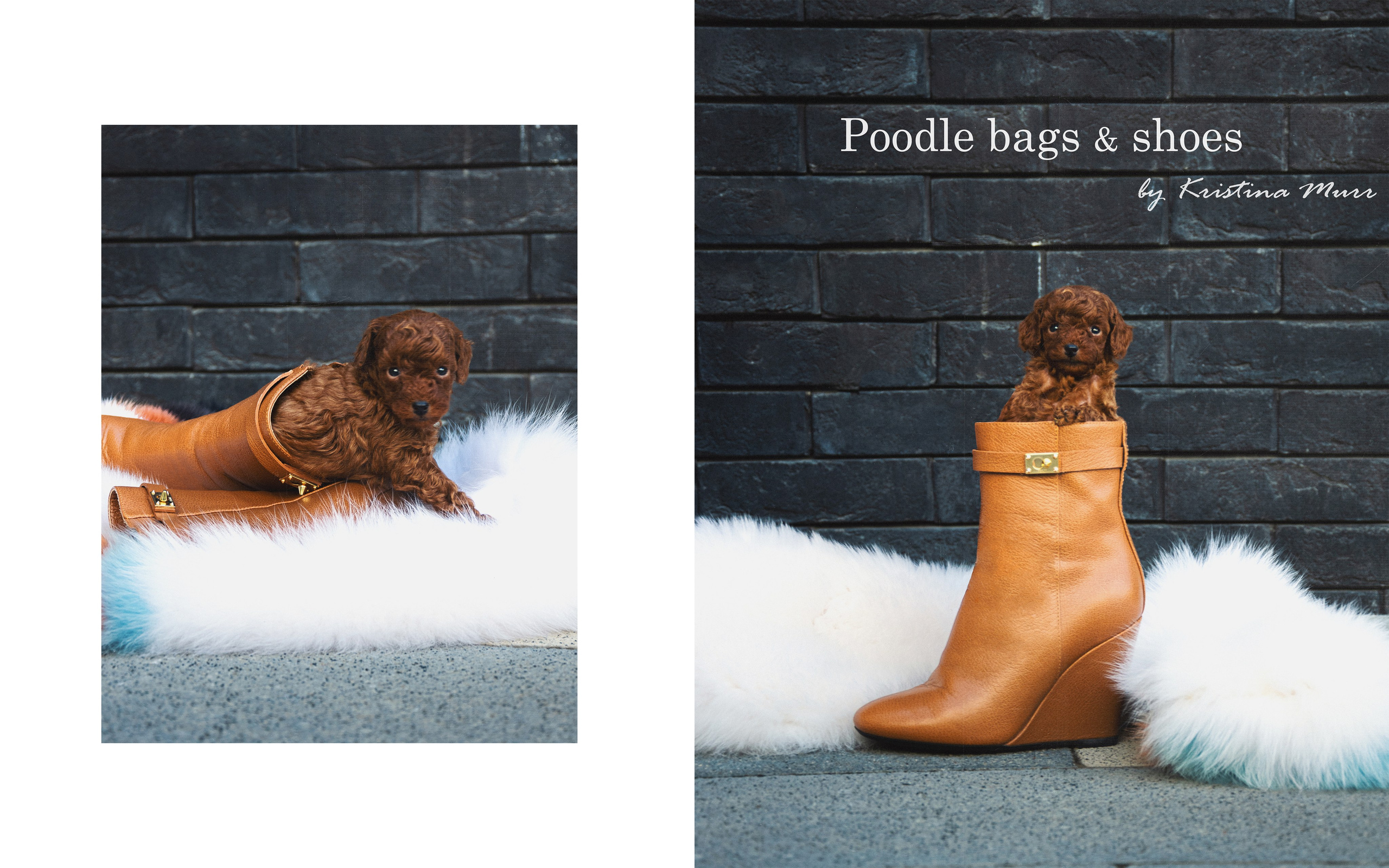 ФОТОСЕССИЯ ЩЕНКОВ. Будуарный фотограф Kris Murr|Москва|Съемки FASHION|BOUDOIR|NUDE