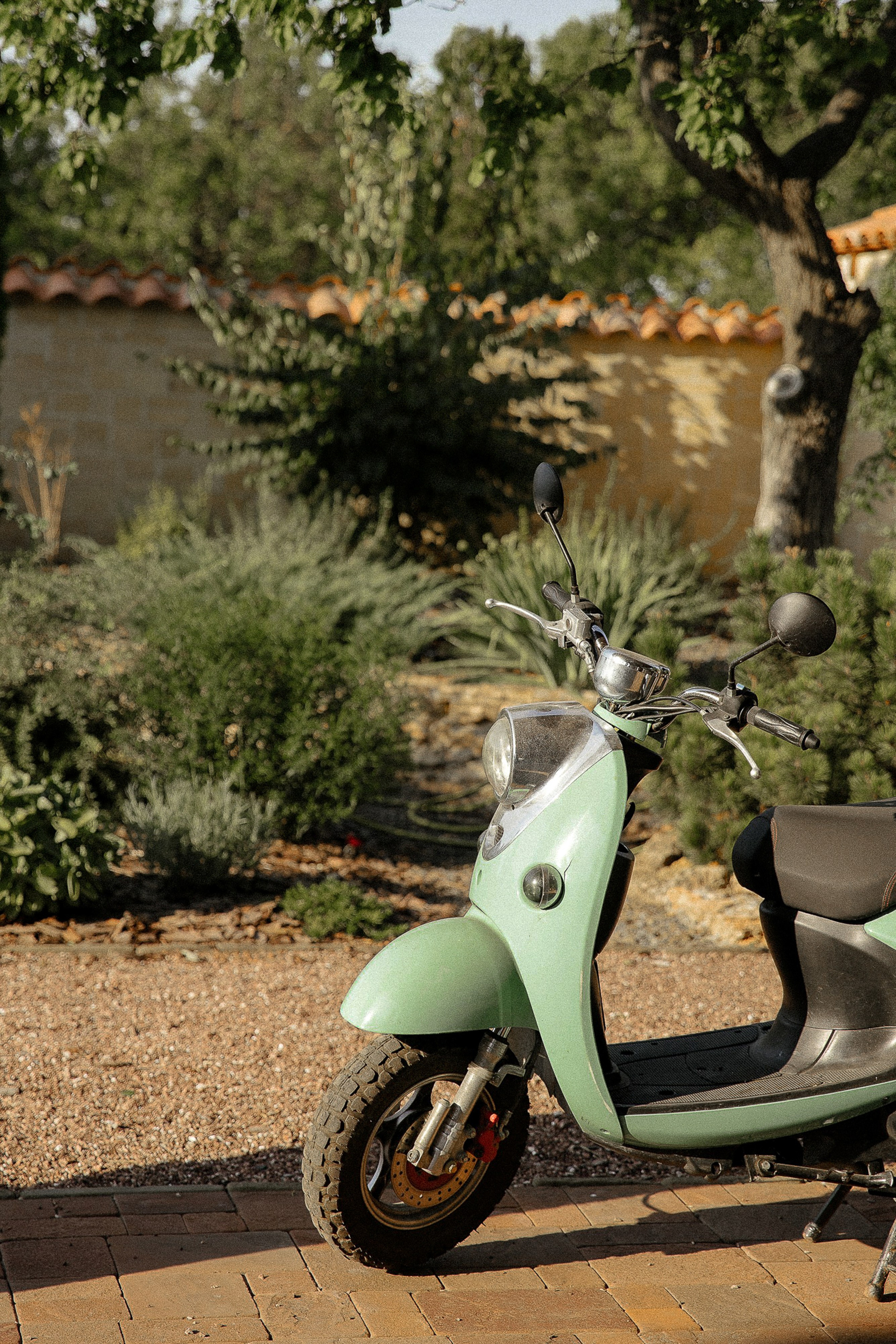 Побеждает любовь (Винодельня Пестиковых). Свадебный фотограф Ольга Ермакович