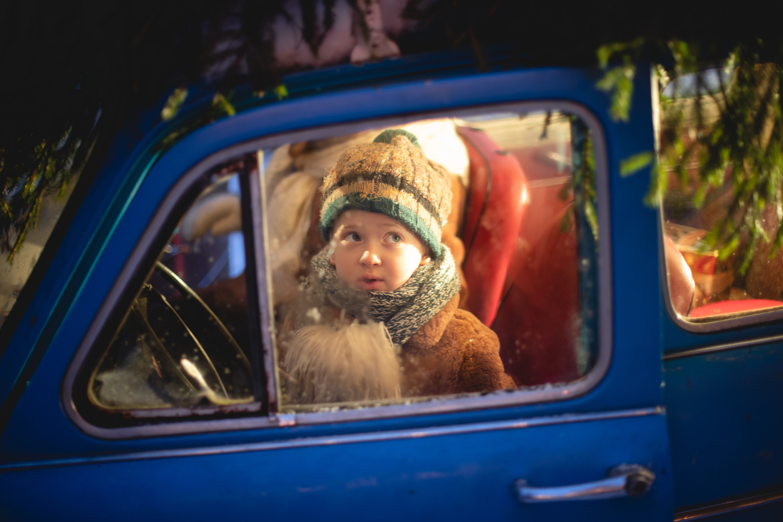 Домик в лесу. Семейный фотограф в Москве Анастасия Гурьянова