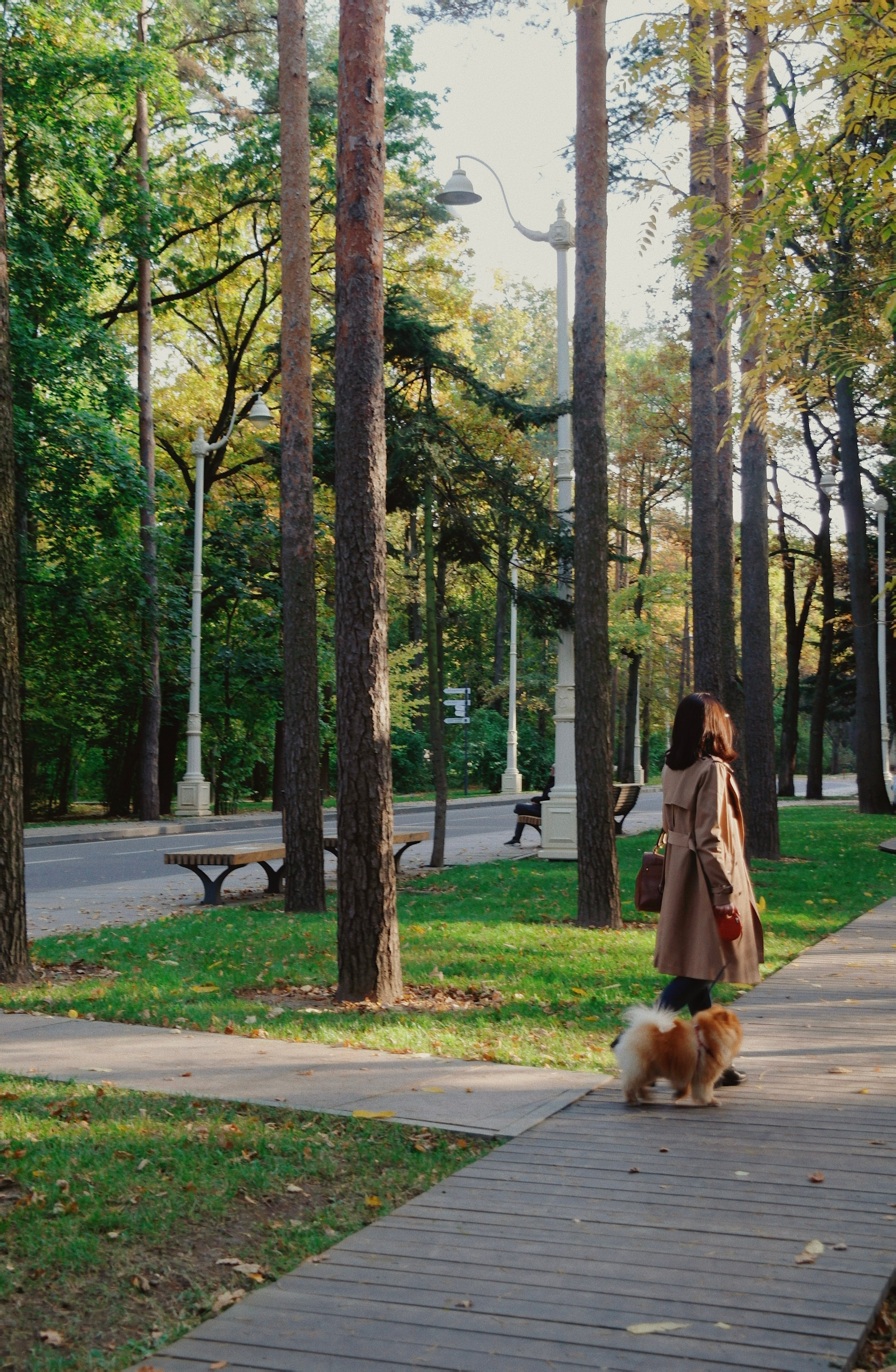 Питомцы. Татьян гертье