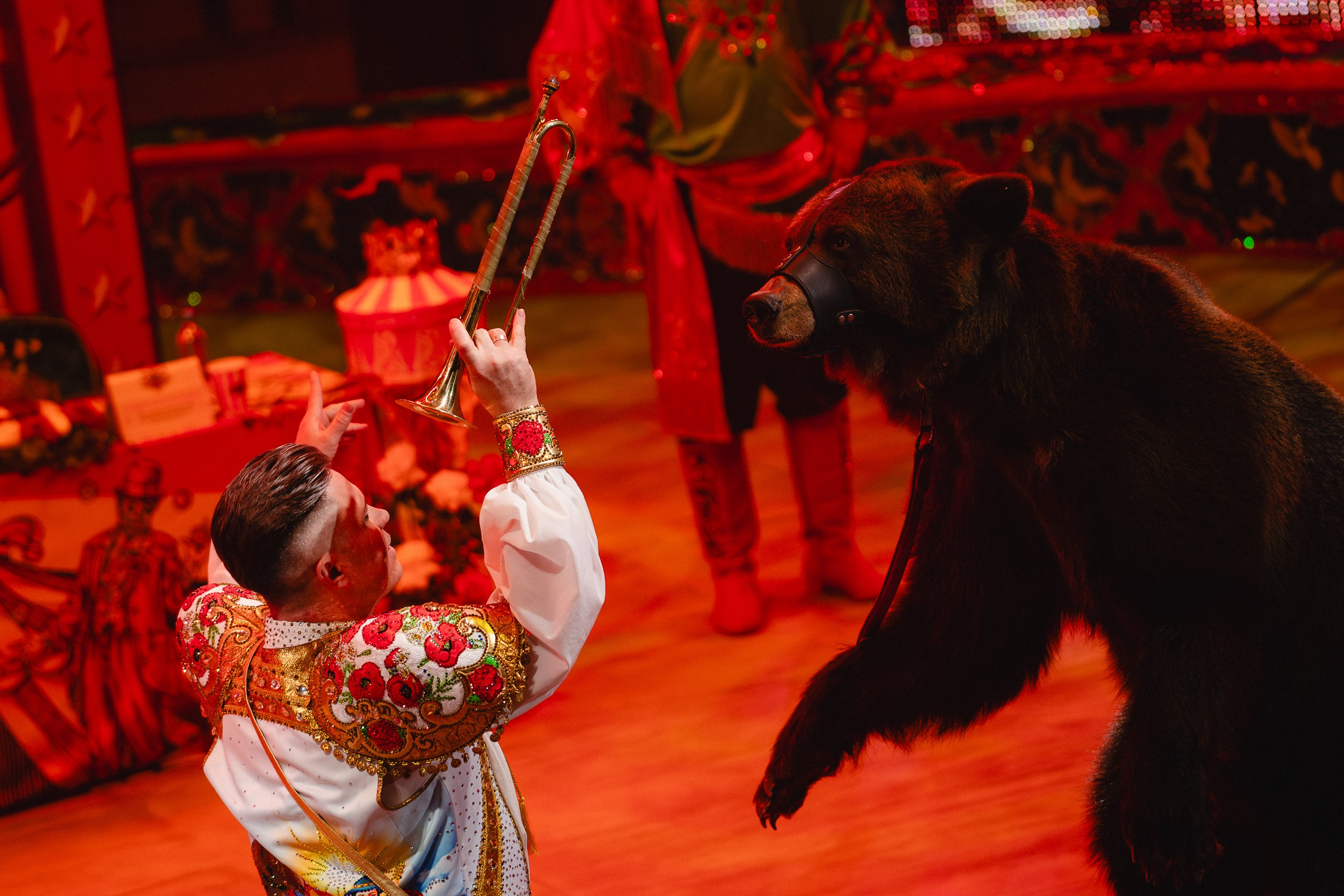 5 Континентов — Пресс-показ в Новосибирском Цирке. Воробьева Ксения — Спортивный и танцевальный фотограф Новосибирск