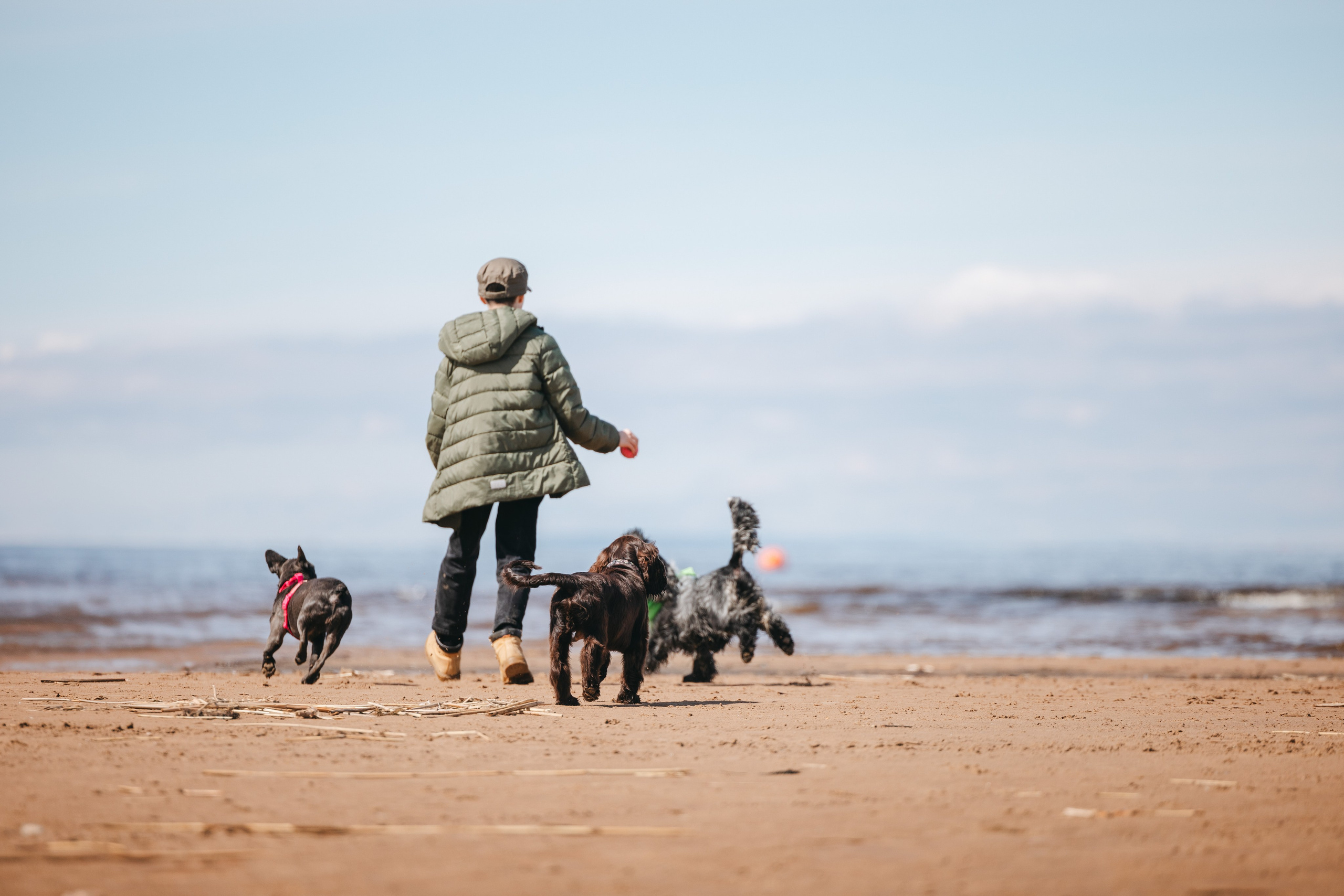 Спанимания. Фотограф анималист Осипчикова Мария