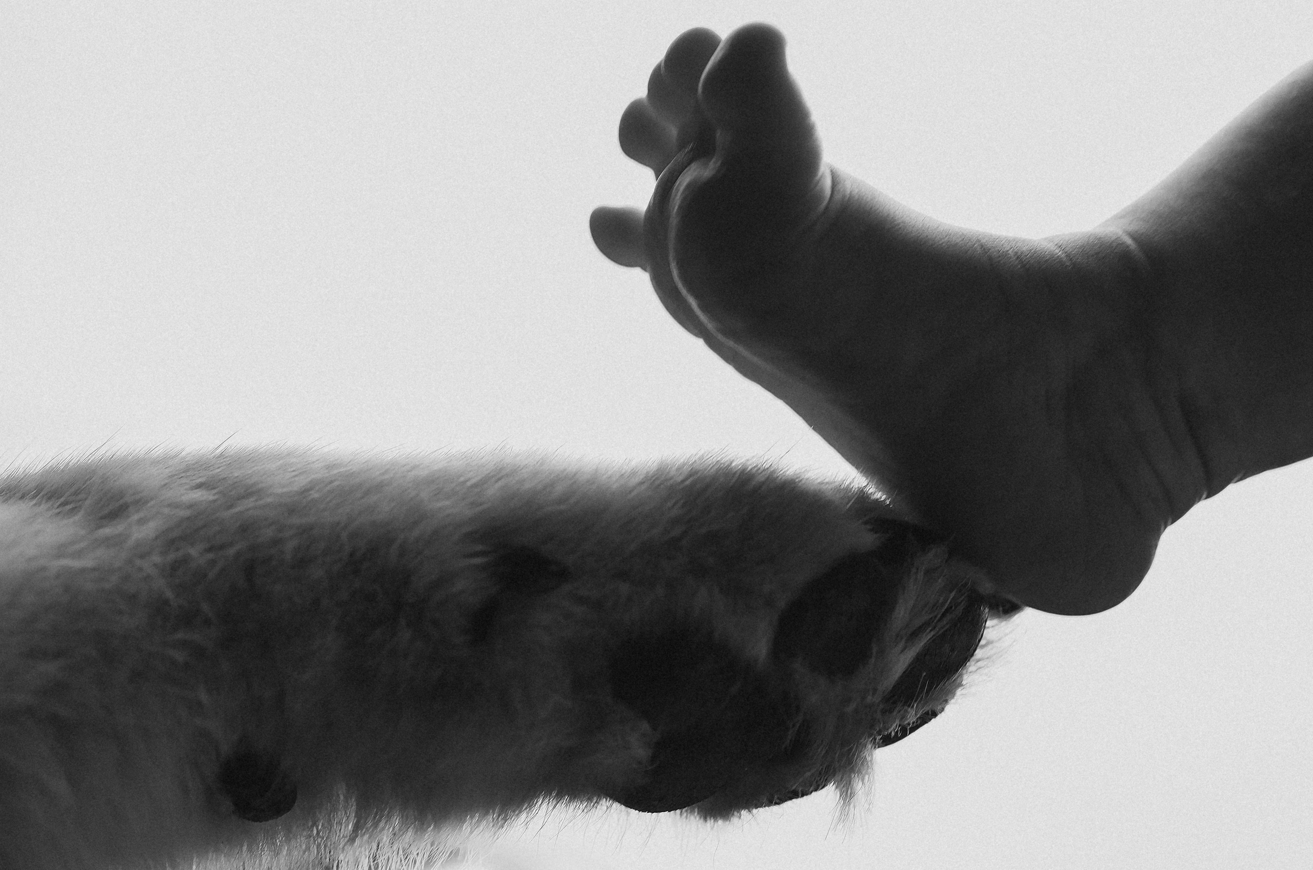 Новорожденные LIFE. Ньюборн и детский фотограф в Москве Шигина Марина