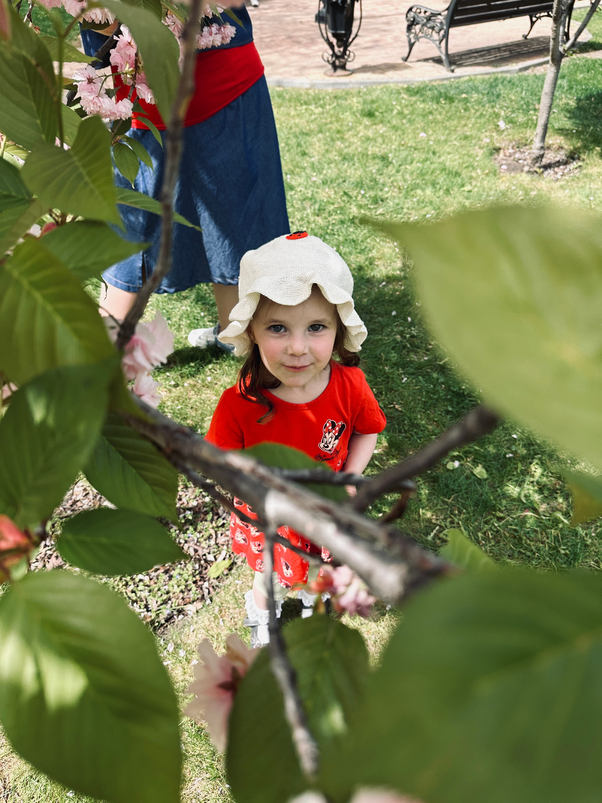 Дети. Смотри, красота!