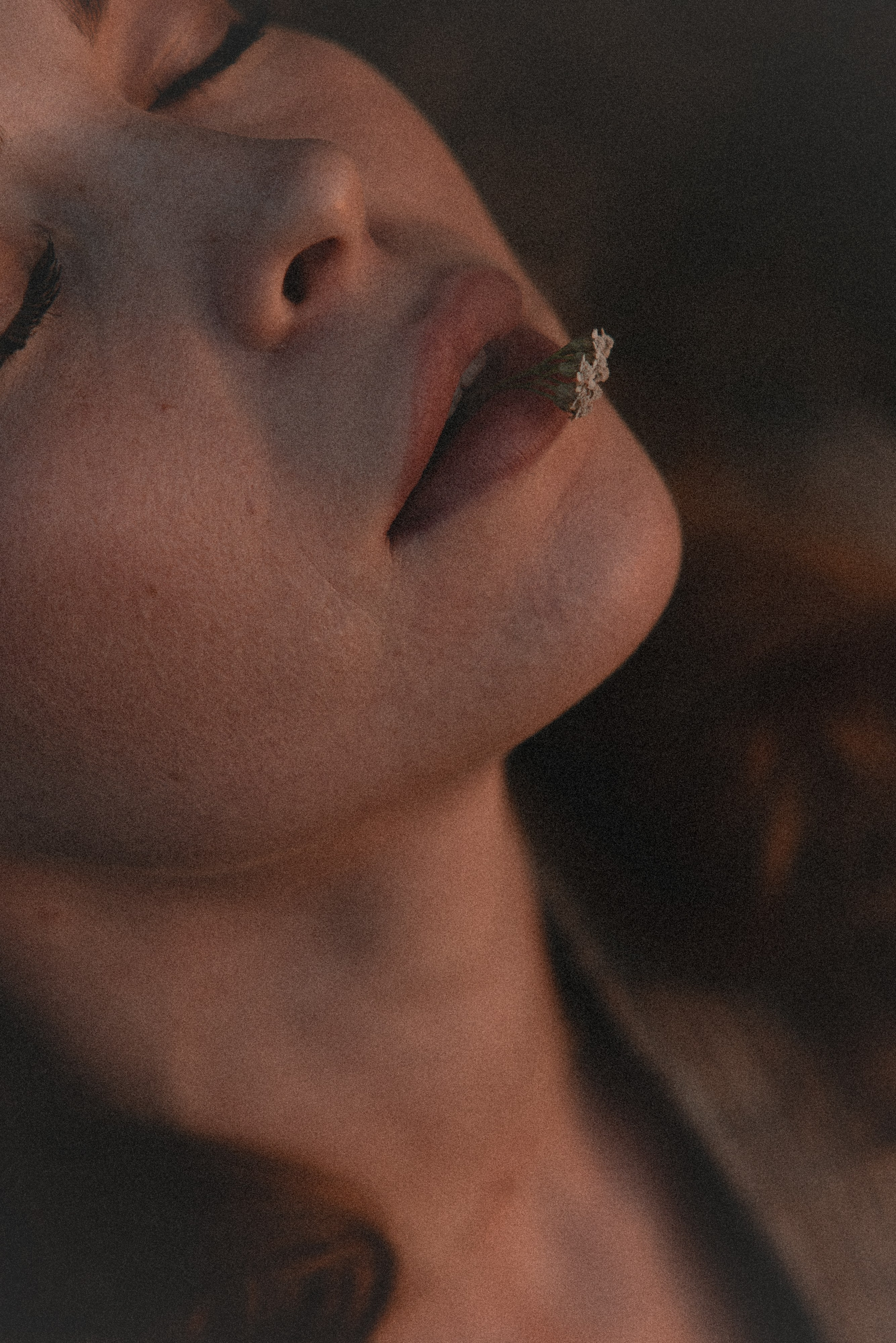 Анна. Семейный фотограф Губкин/Старый Оскол