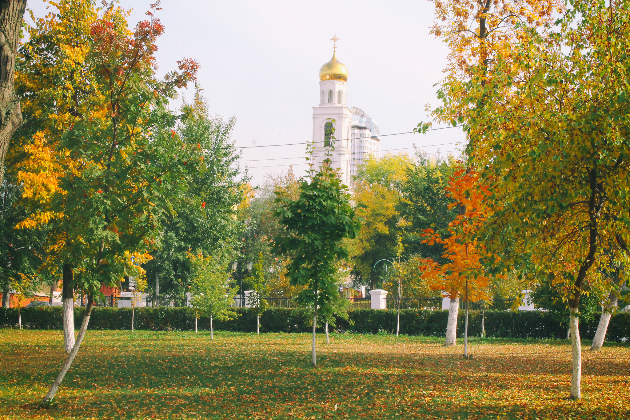 City. Твой личный фотограф