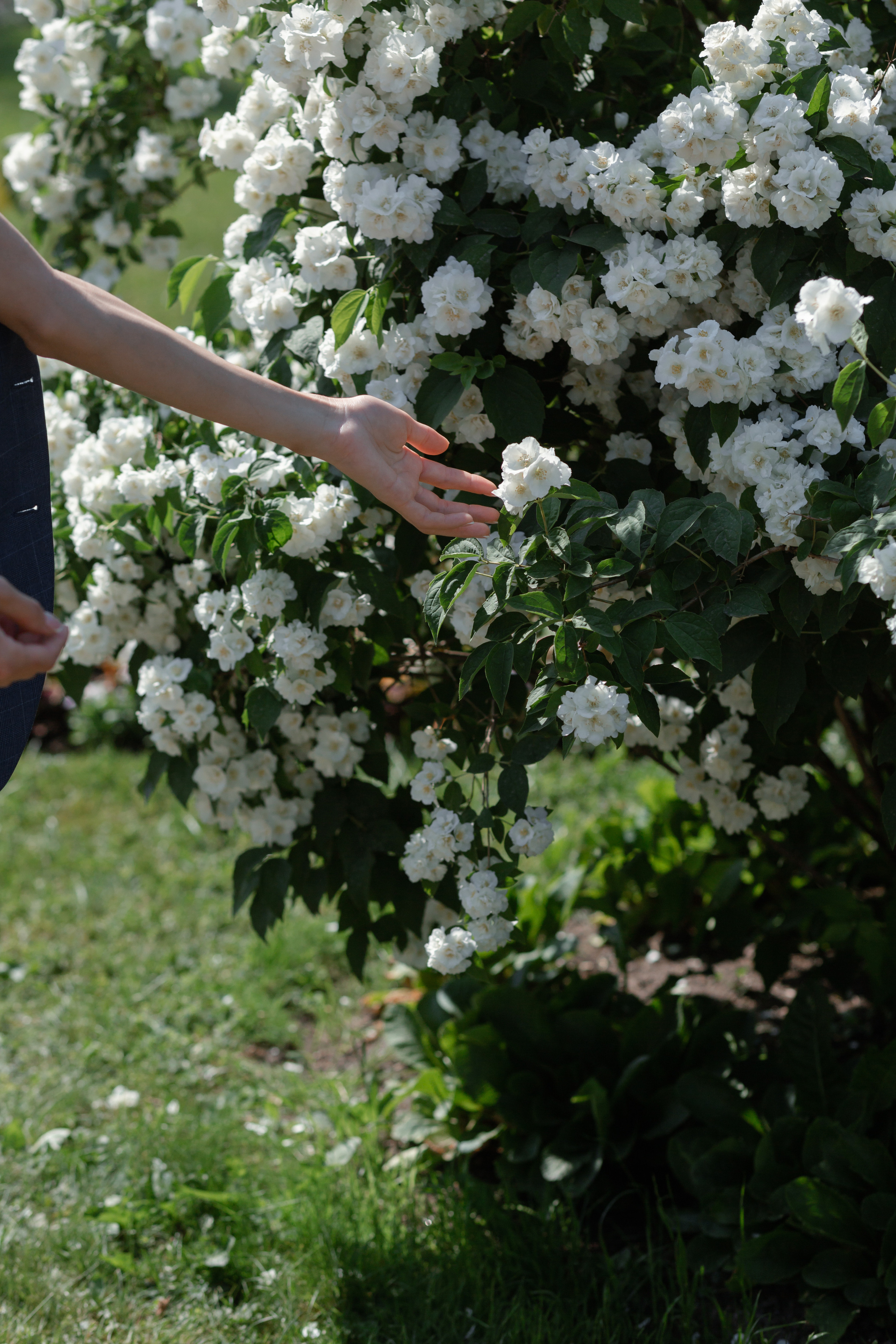 Никита и Виктория. Свадебный фотограф в Санкт — Петербурге и Ленинградской о