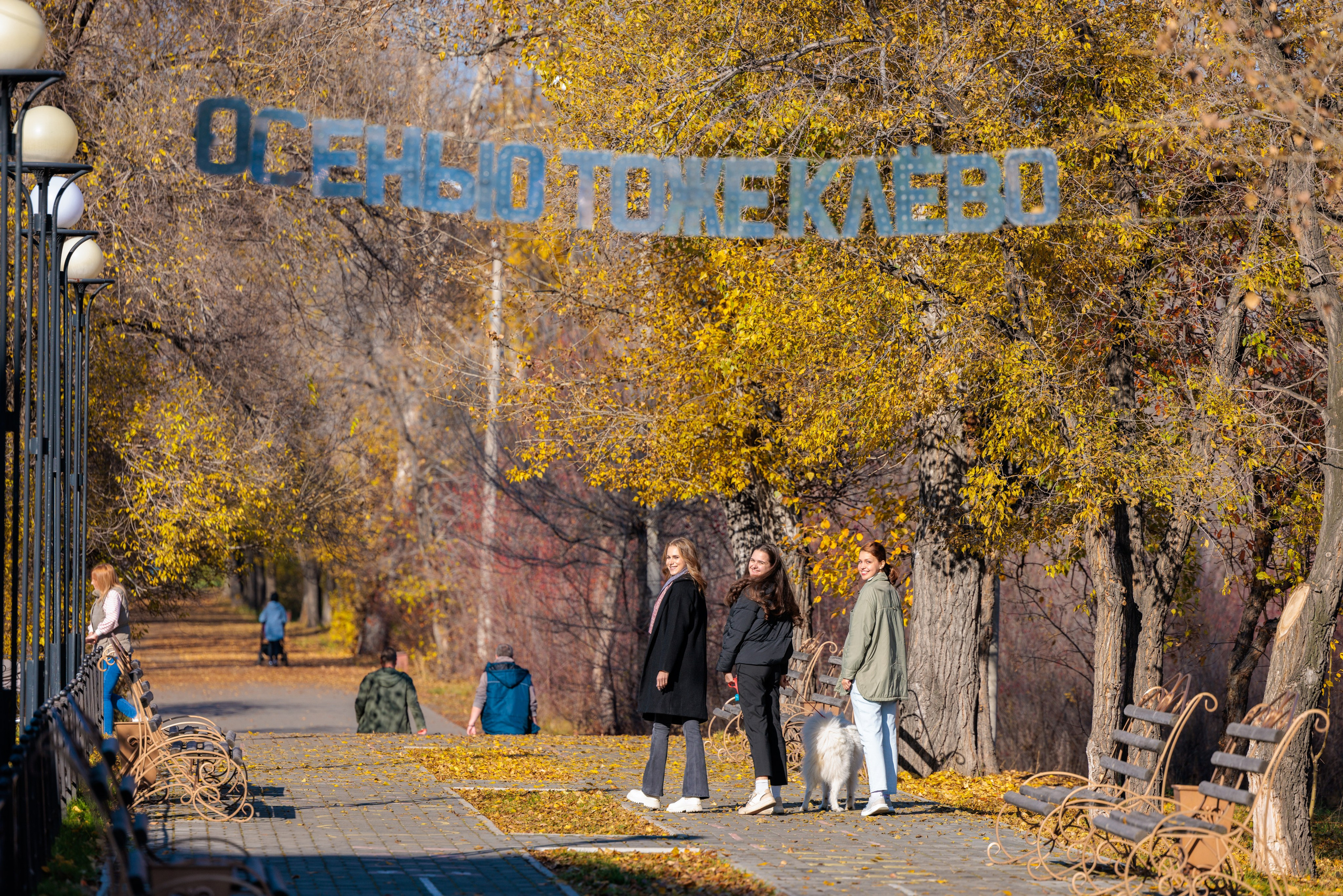 Осень в Абакане. Ваши Истории. Фотограф/видеограф. Абакан